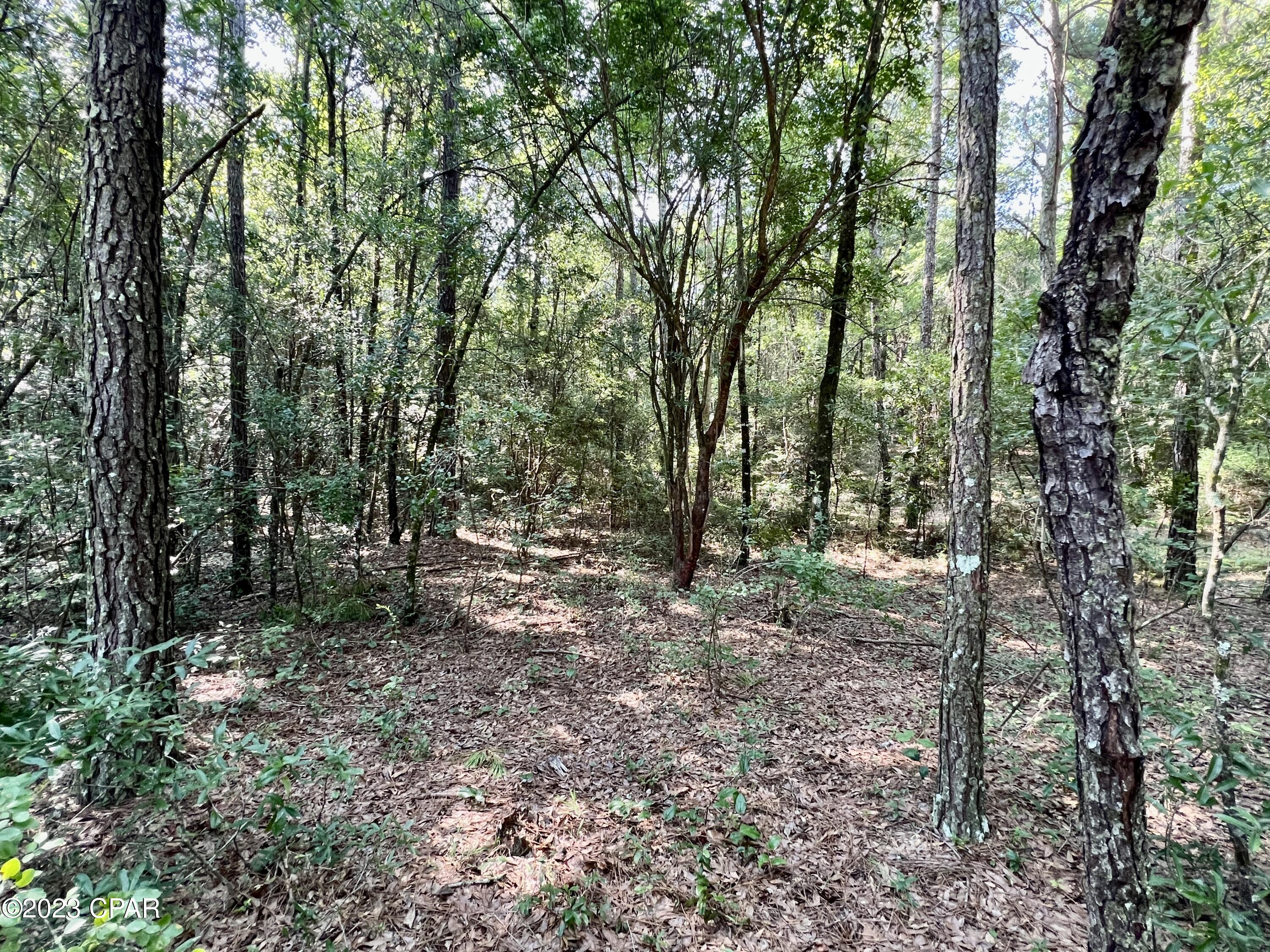 [No Recorded Subdiv] - Land