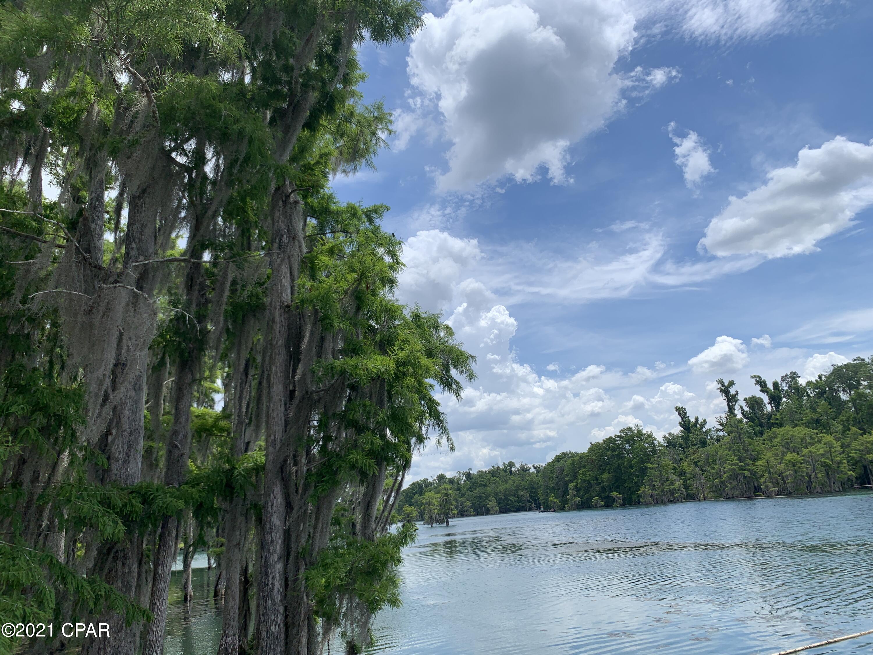 Mill Pond Springs - Residential