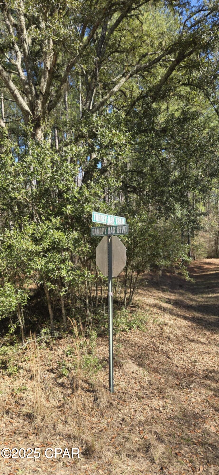 Canopy Crossing - Land