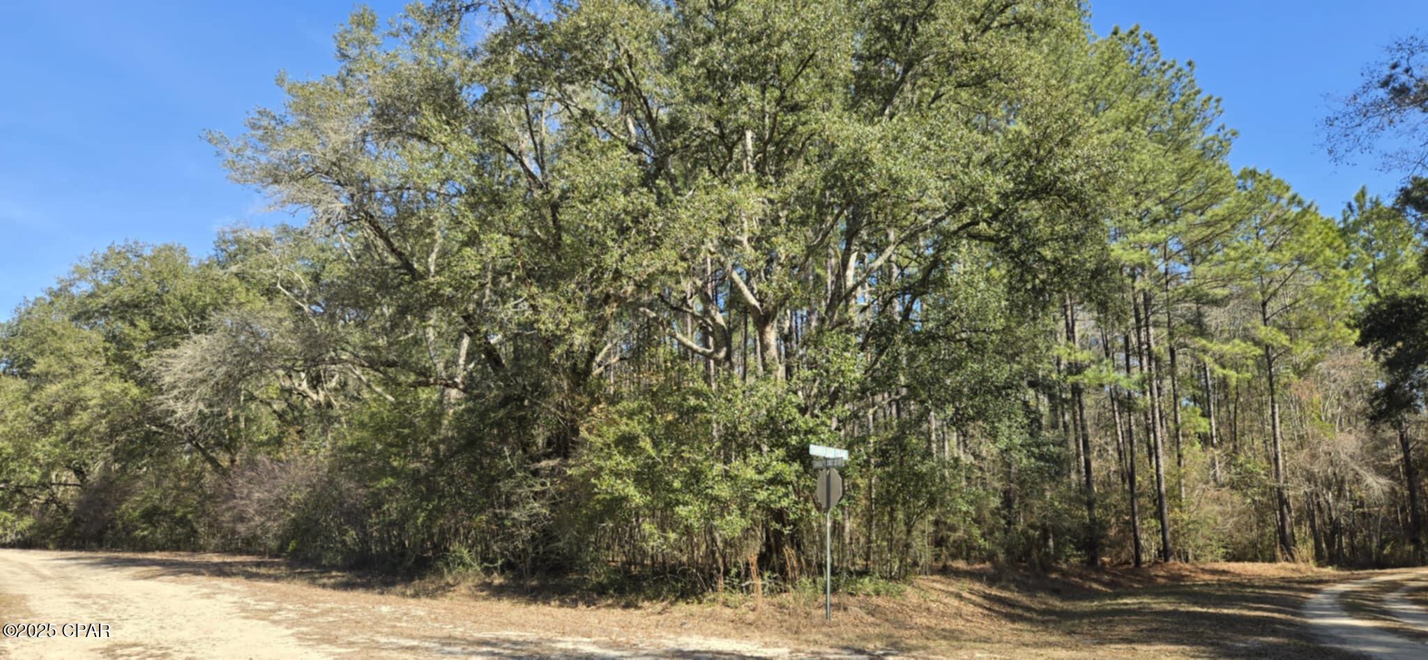Canopy Crossing - Land