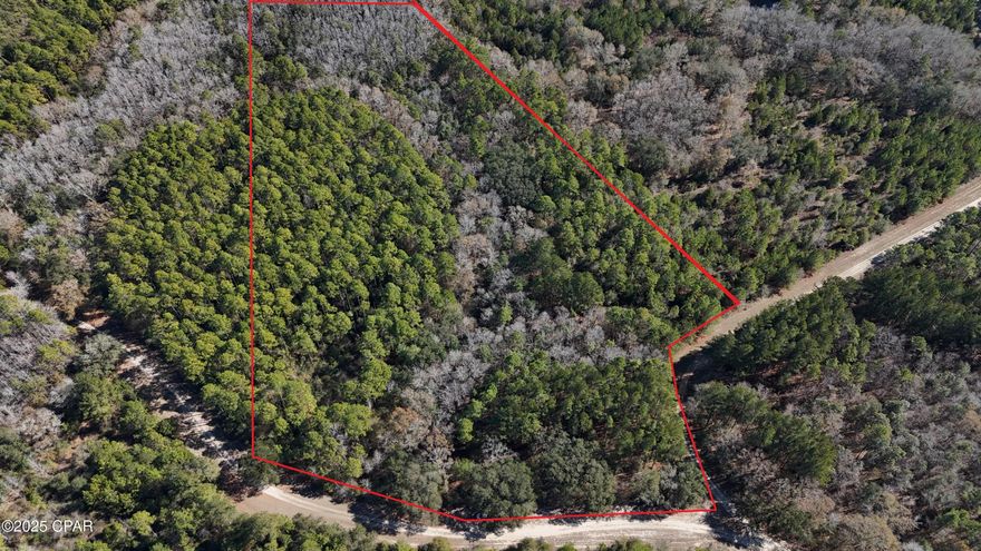 Looking for the perfect blend of space, privacy, and natural beauty in a gated community? This stunning 10.32-acre property in the exclusive Canopy Crossing subdivision in Bonifay, Florida, offers just that. Located off Dogwood Lakes Highway, this lot features underground electric already in place and is surrounded by abundant wildlife, including deer, making it a haven for nature lovers. Nestled within a peaceful, gated community, this property provides the security and serenity you've been searching for. Conveniently located about an hour from the white-sand beaches of Panama City Beach, Florida, and less than an hour from Ft. Novosel, Alabama, this property is ideal for building your dream home, a vacation retreat, or simply enjoying the beauty of Florida living. Don't miss out—schedule your showing today by contacting your Realtor!