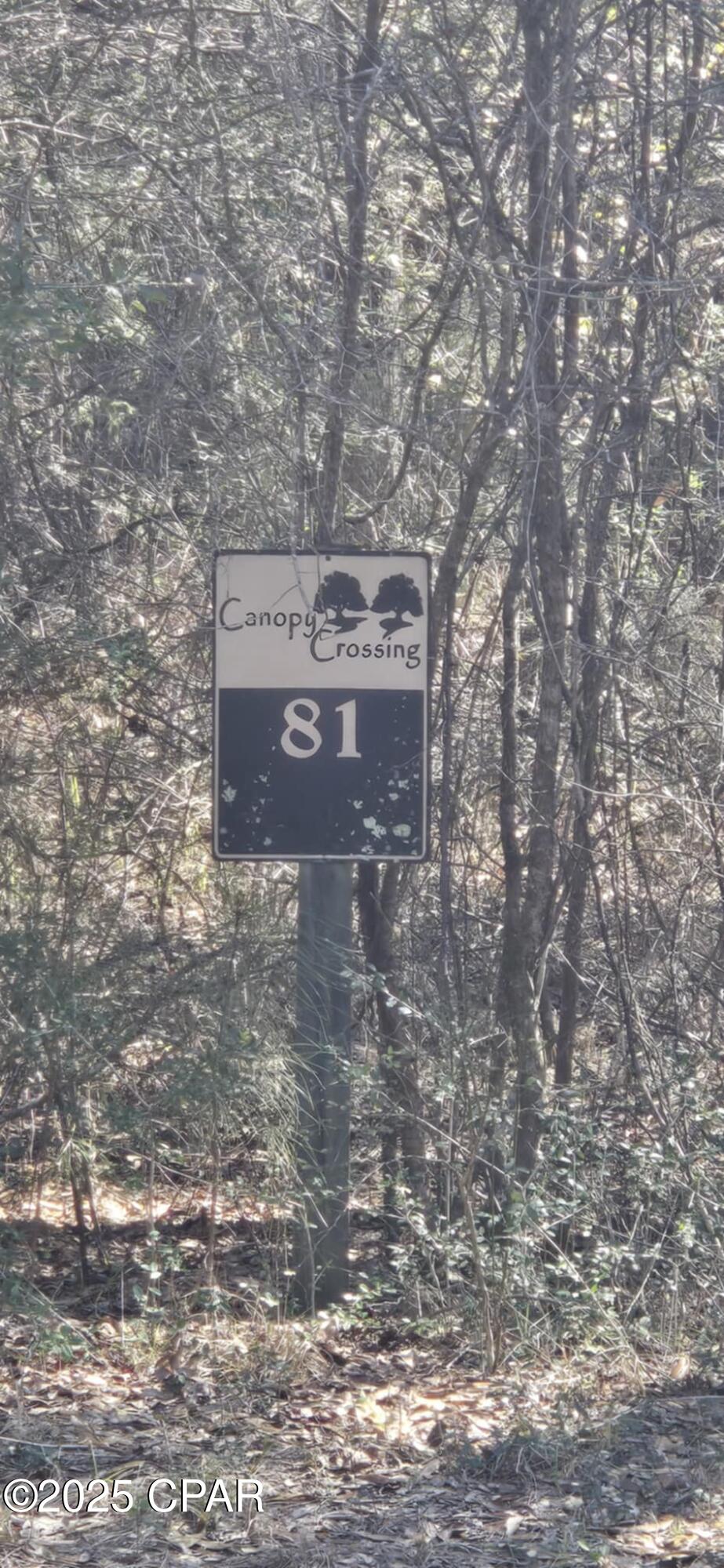 Canopy Crossing - Land