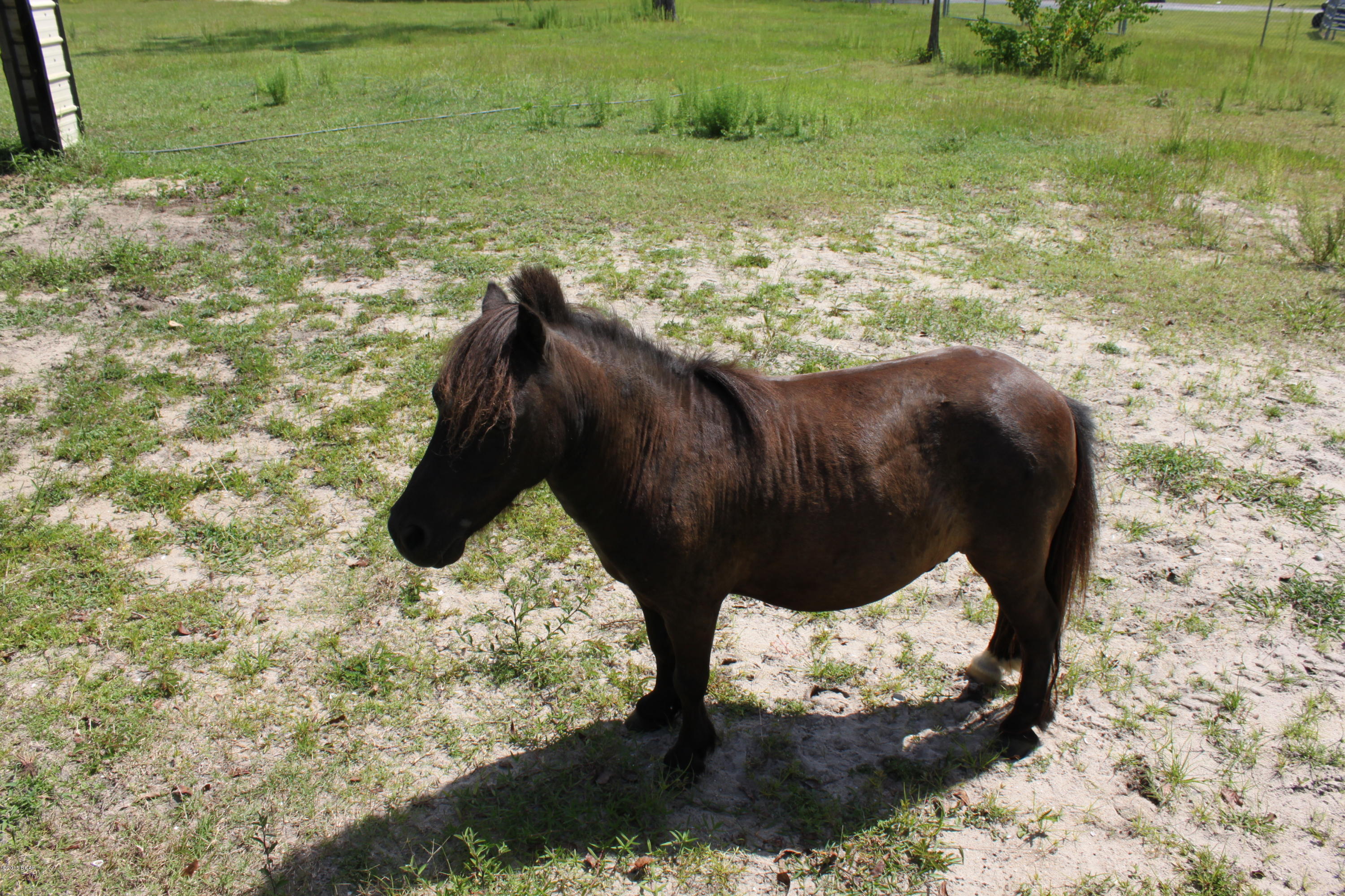 Waverly Ests - Residential