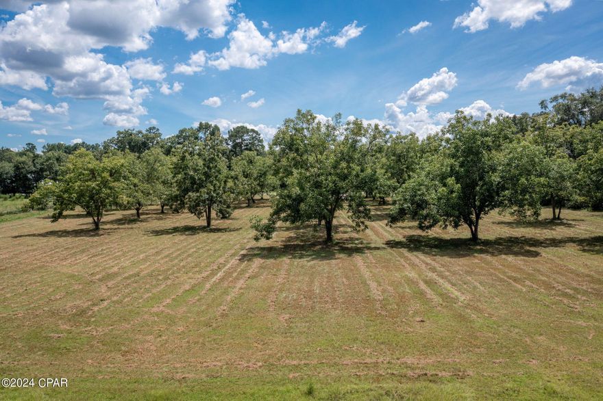 Situated near town, this expansive property spans over 12 acres of land. Dotted with stunning pecan trees forming a small orchard, the back of the property features a lush, wooded area. The frontage of the land is along a paved road, providing easy access. Located just minutes from Hwy 231, once there you can head north and it will lead you directly to Dothan, Alabama, or head south and it will take you straight to Panama City, Florida. It would make a gorgeous spot for your dream home and has the potential to be transformed into a charming mini ranch or farm.