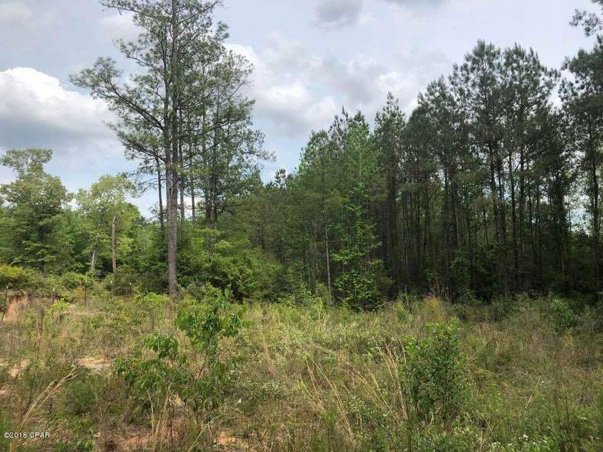 Great spot to build your next home!!! This parcel is almost 9 acres in the desirable Orange Hill area and is only about 30-45 minutes to the beach.  It already has partial clearing and is ready for your site built or mobile home.  Hurry - this property won't last long!!!