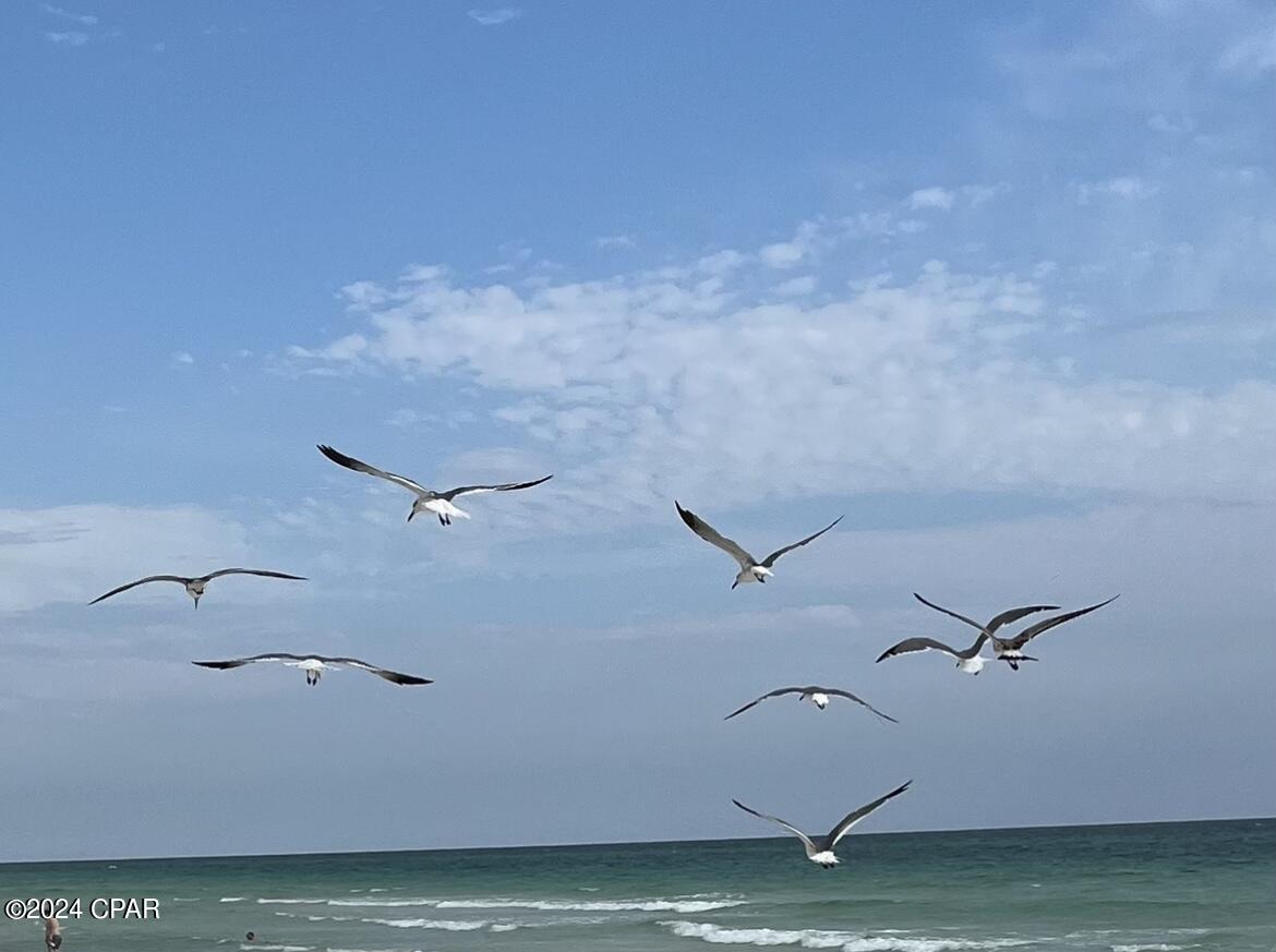 Laketown Wharf Phase II - Residential