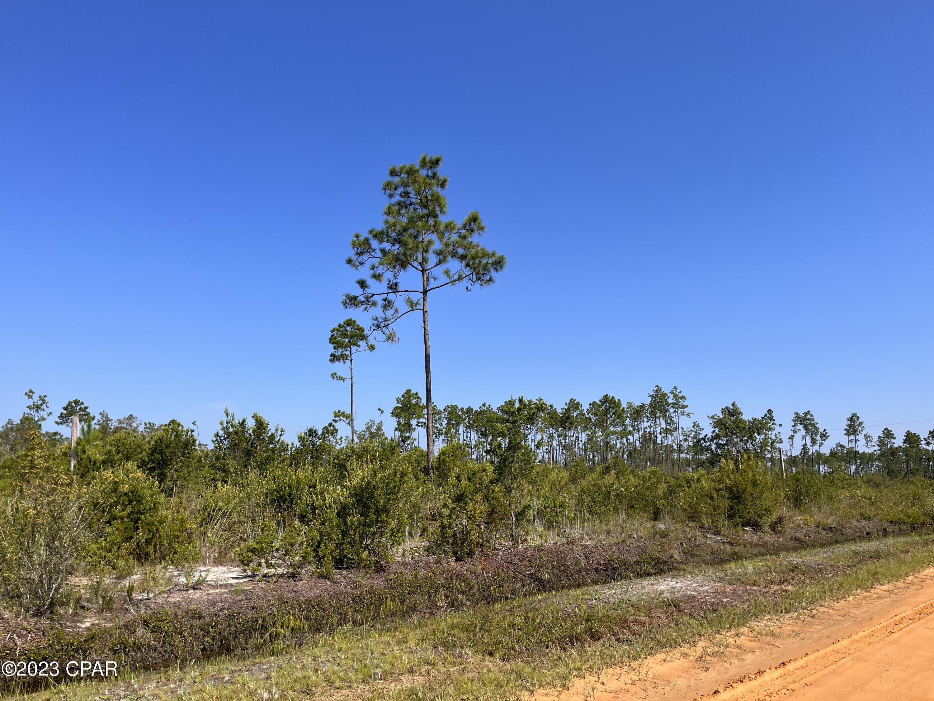 St Andrews Bay Dev Co - Land