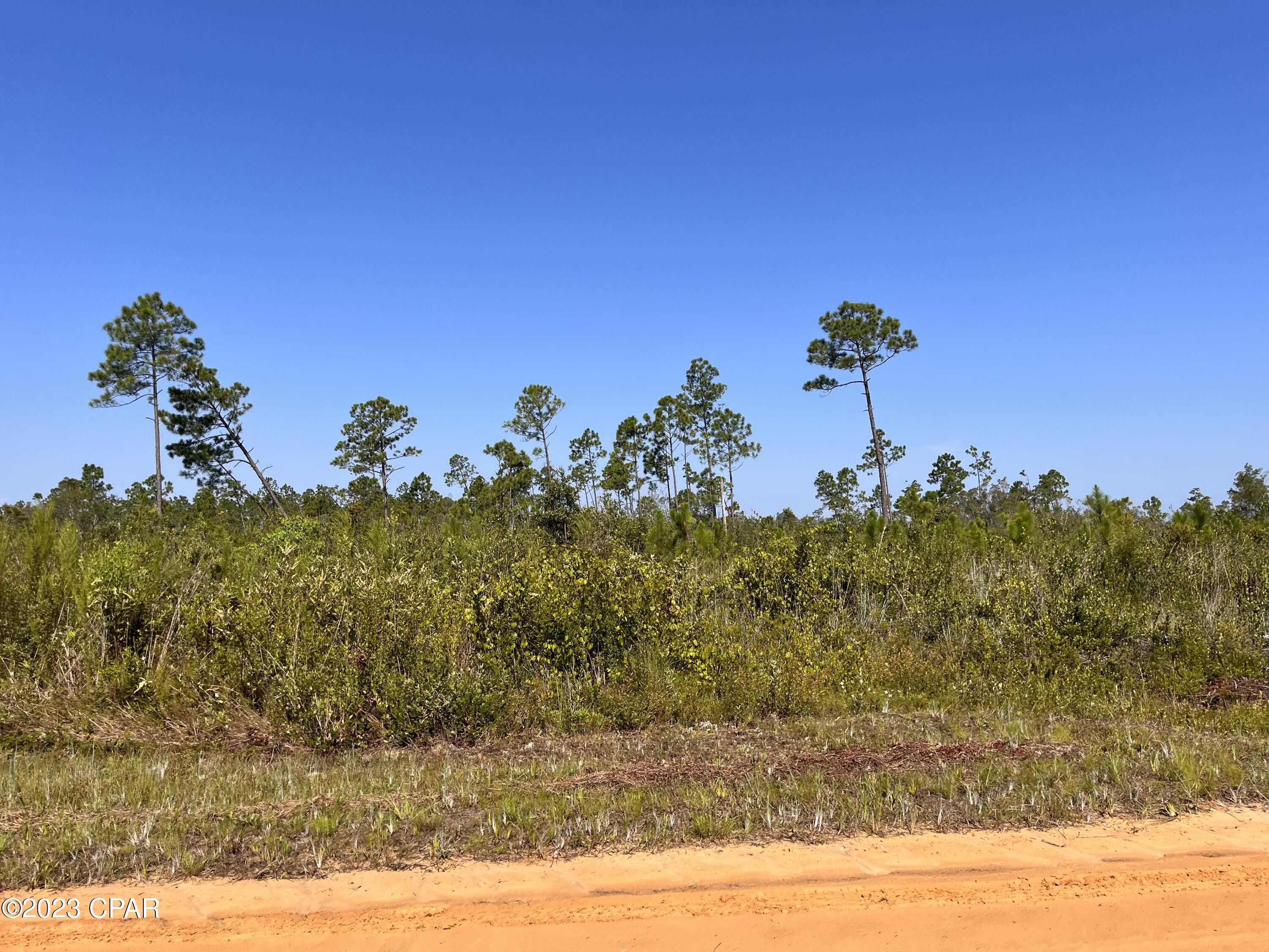 St Andrews Bay Dev Co - Land