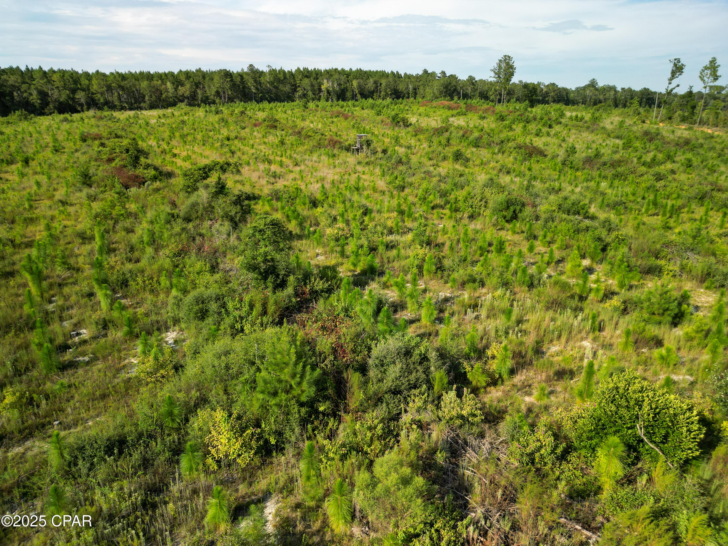 [No Recorded Subdiv] - Land