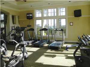 Wild Heron Phase X - Land