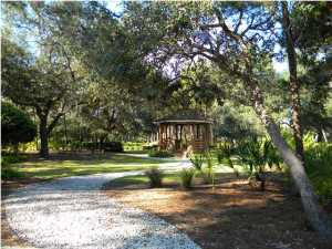 Wild Heron Phase X - Land