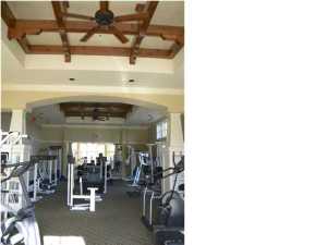 Wild Heron Phase X - Land