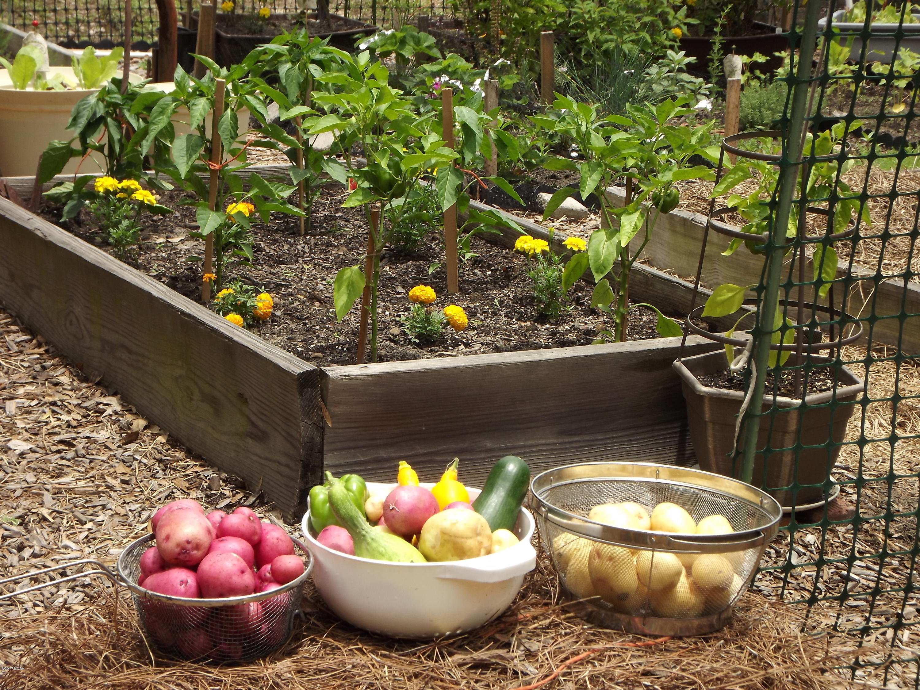 Sunny Hills - Residential