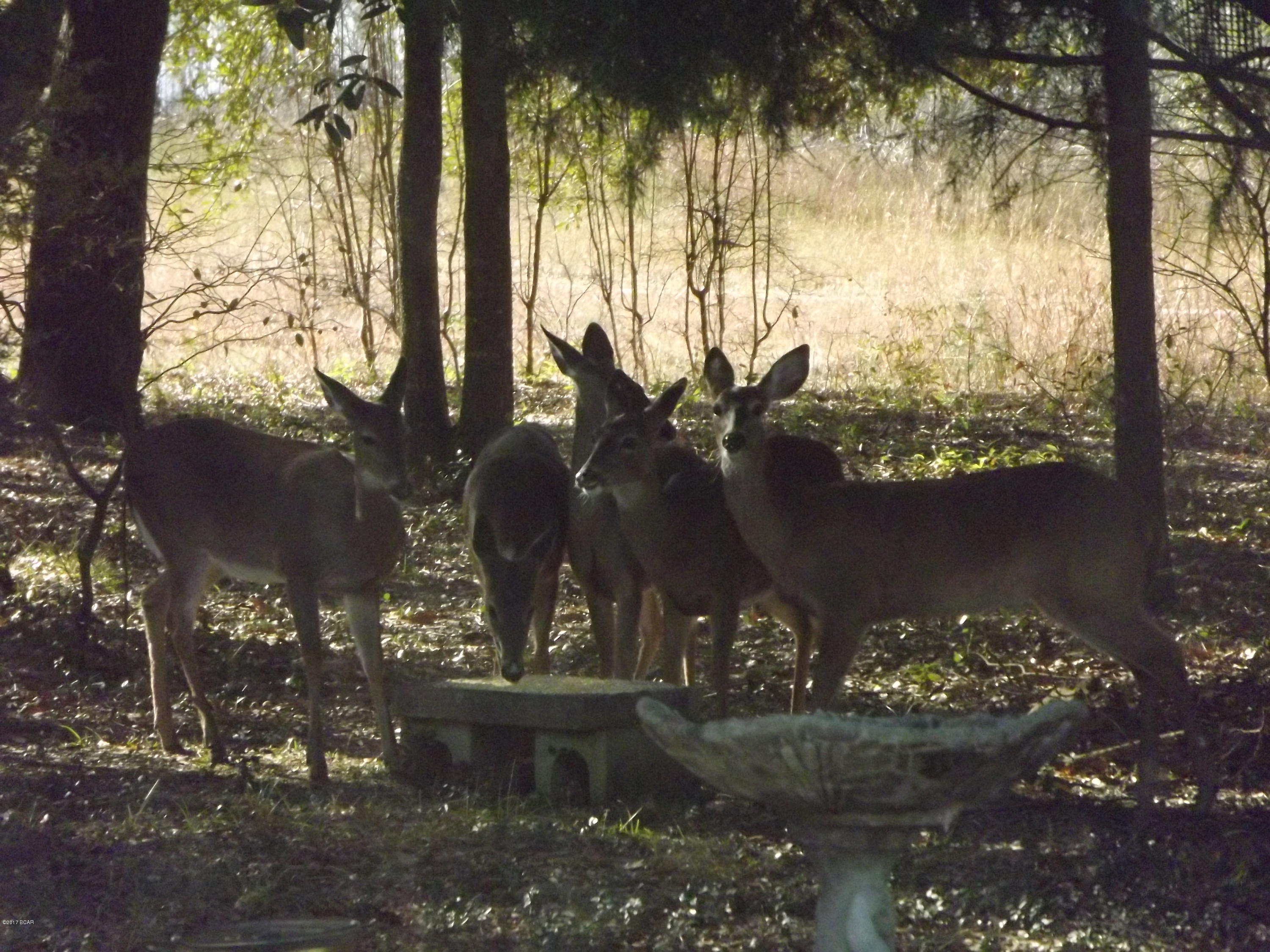 Sunny Hills - Residential