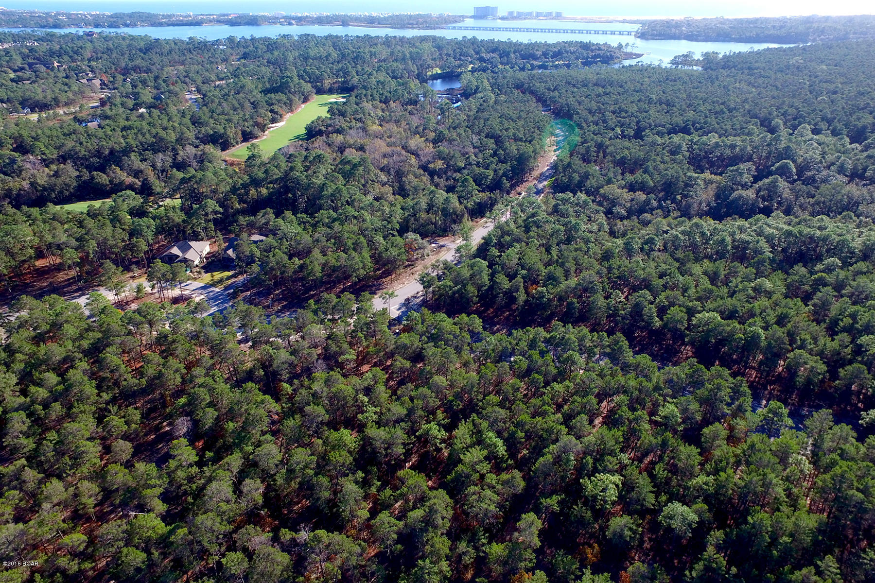 Wild Heron Phase X - Land