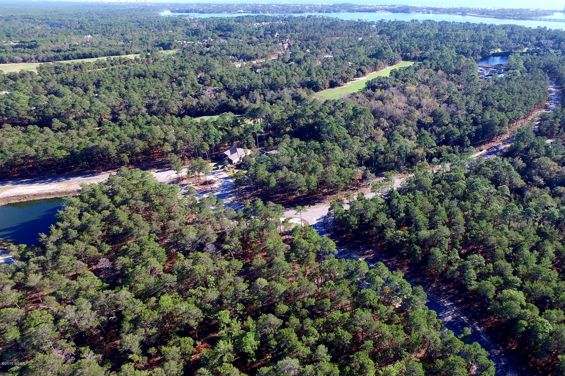 Wild Heron Phase X - Land