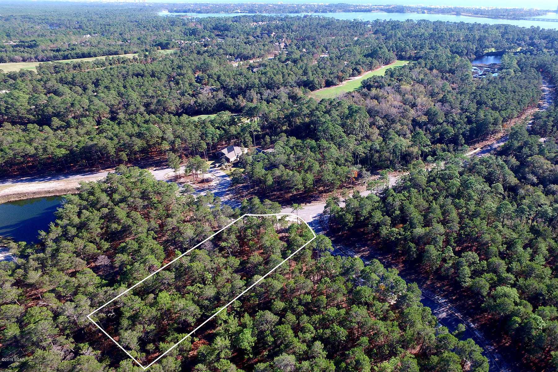 Wild Heron Phase X - Land