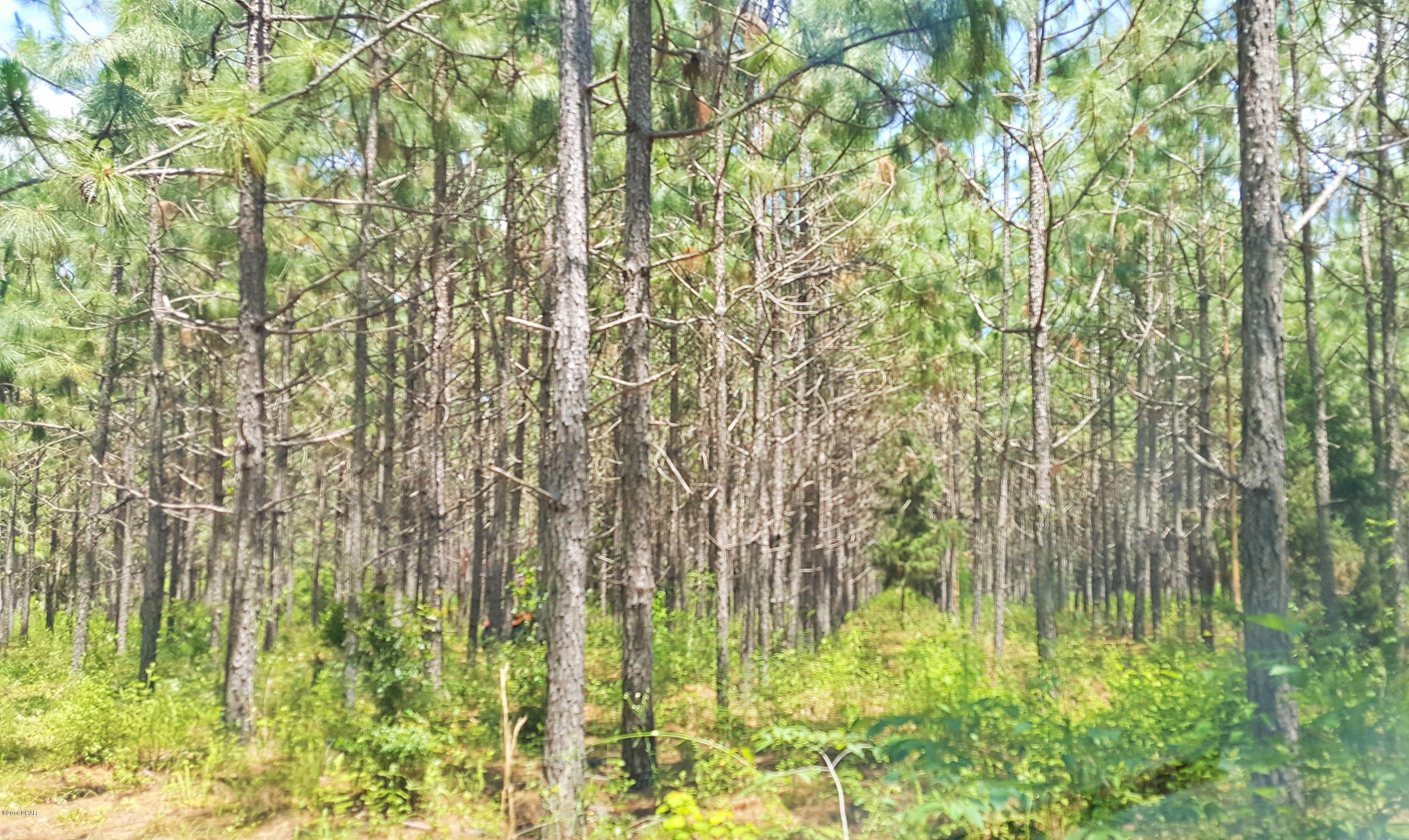 [No Recorded Subdiv] - Land