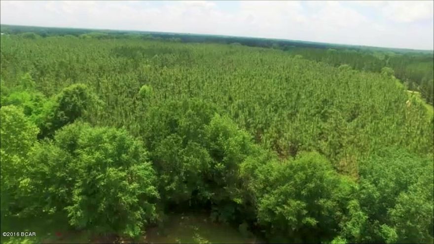 40 acre tract of land that has 19-20 year old planted pines on it.  Pines are ready to be thinned.  Property is completely fenced and has a gated entrance.