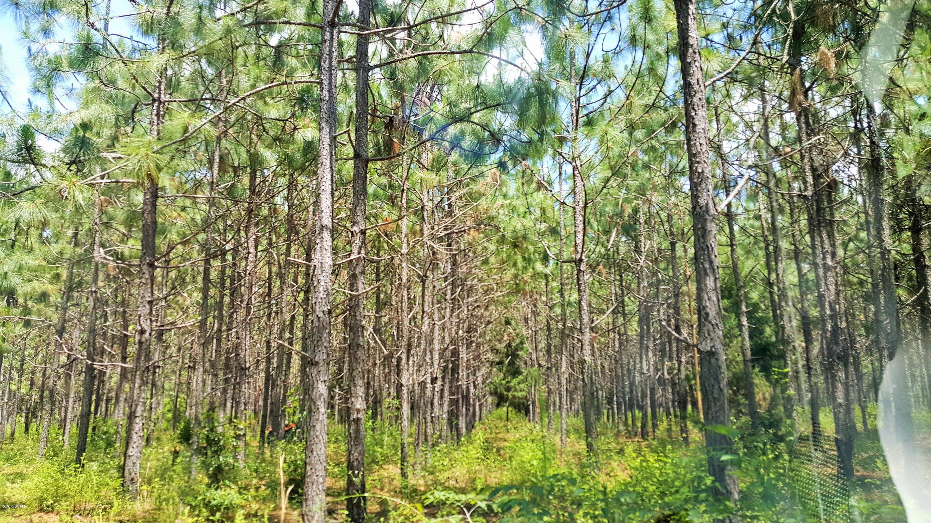 [No Recorded Subdiv] - Land