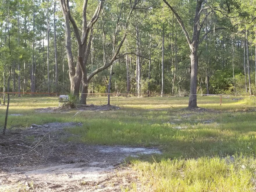 For someone hunting privacy but not far from Panama City or the beach, check out this flat corner lot of 1.60 acres. The lot has been partially cleared and cleaned off, ready to build on. Located in Greenhead just off Hwy 77, it is close to a state recreation area with many opportunities for family fun including fishing and boating.