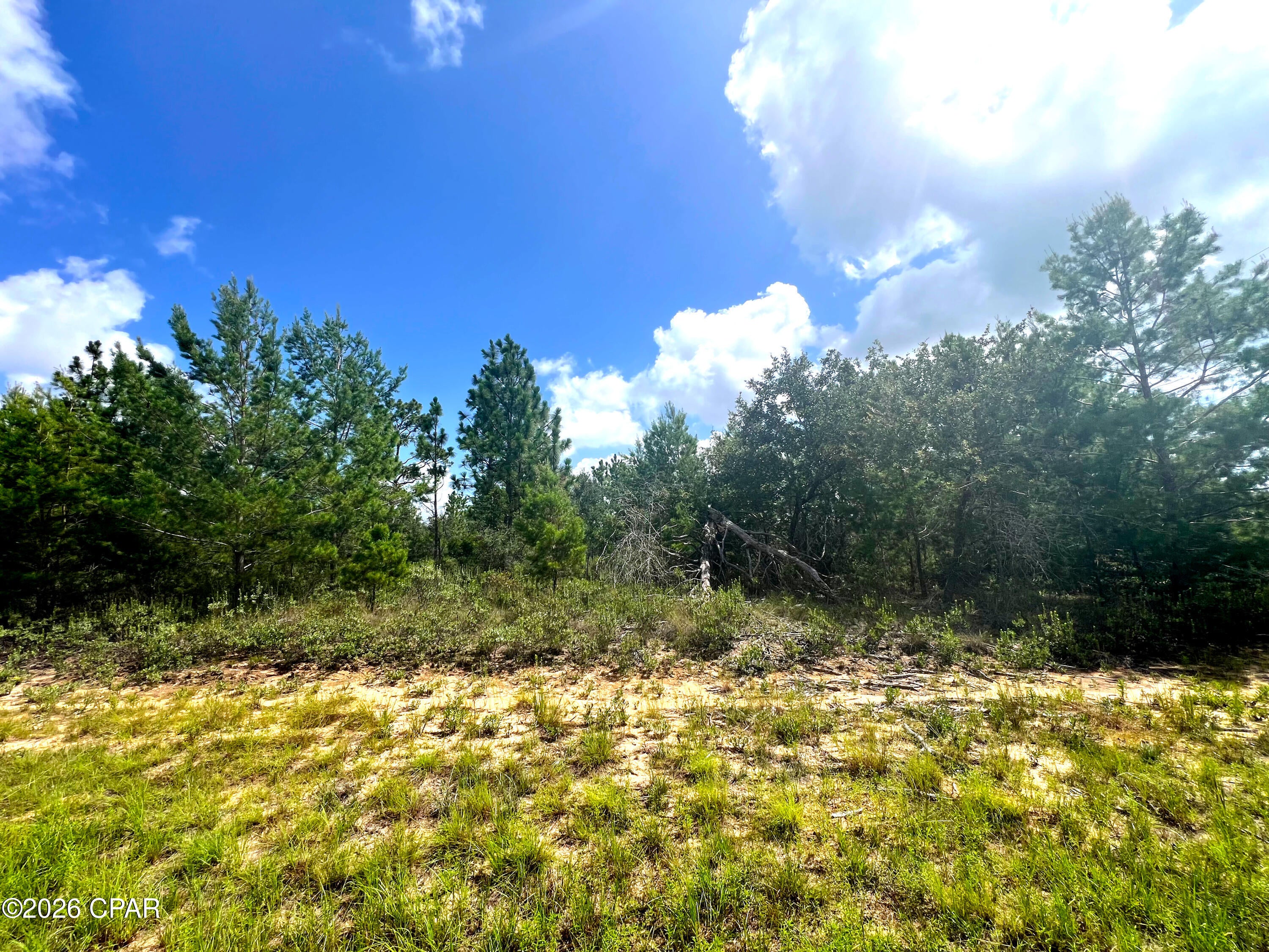 Lot 1 Fairbanks Drive