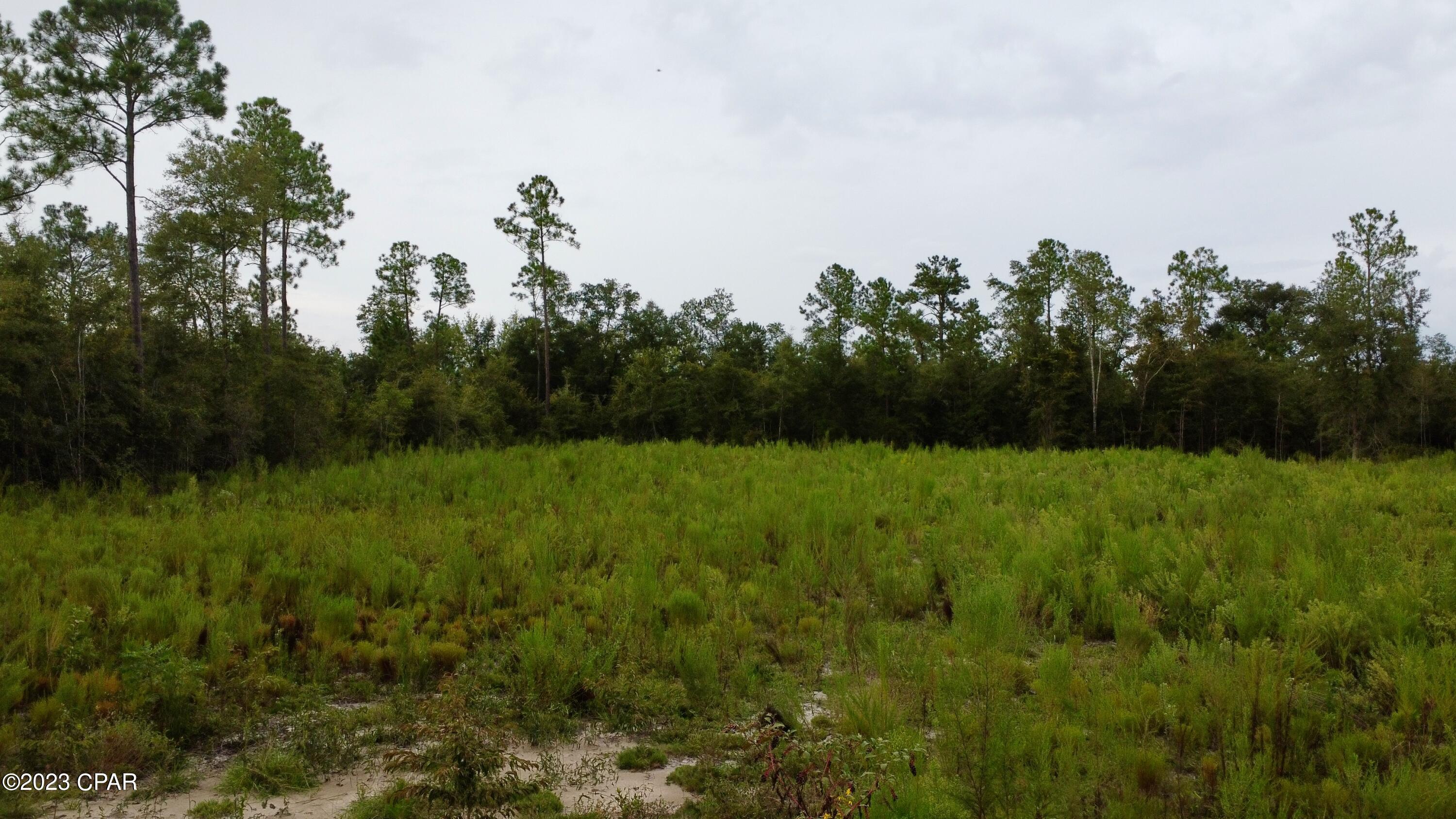 Blue Springs Plantation - Land