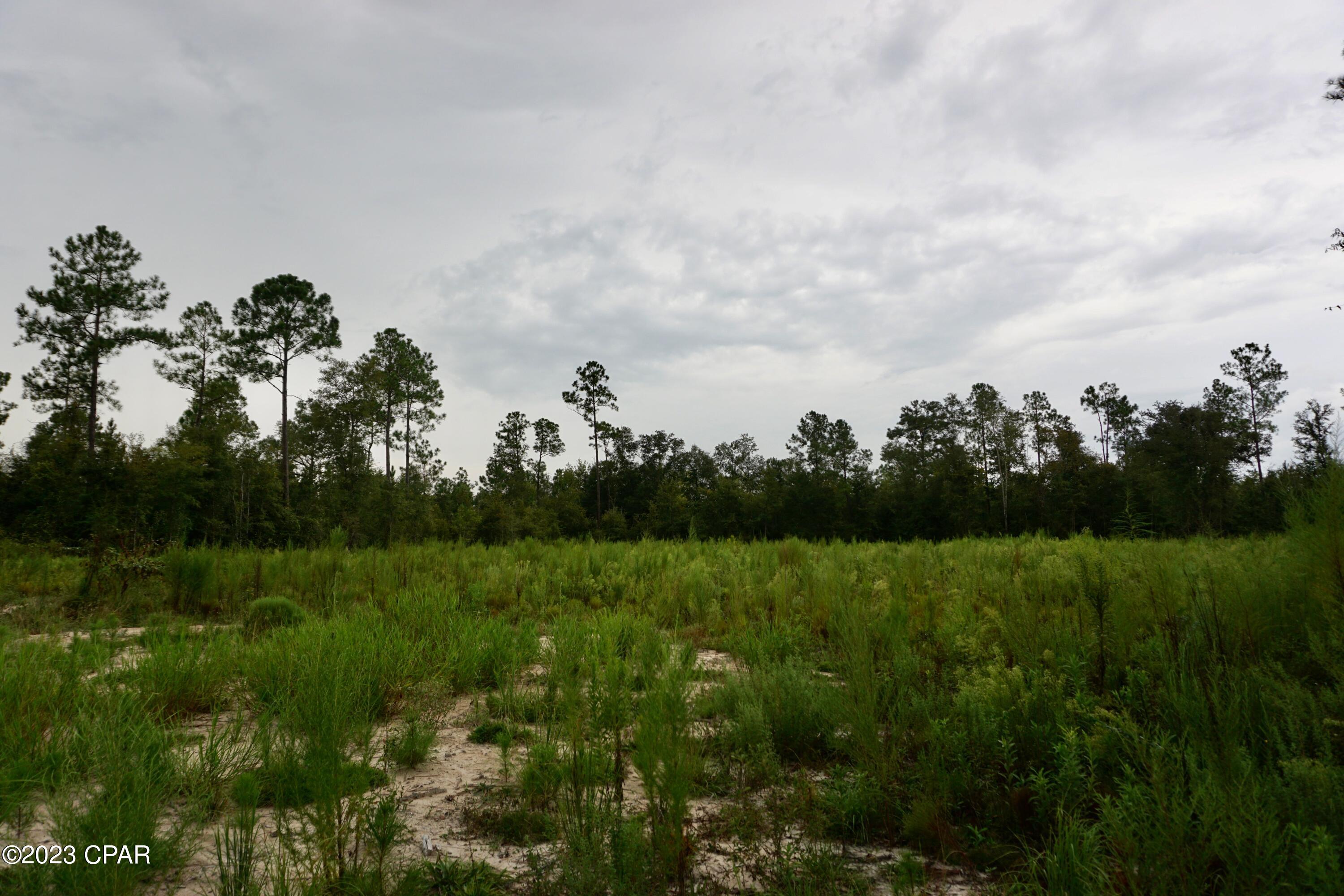 Blue Springs Plantation - Land
