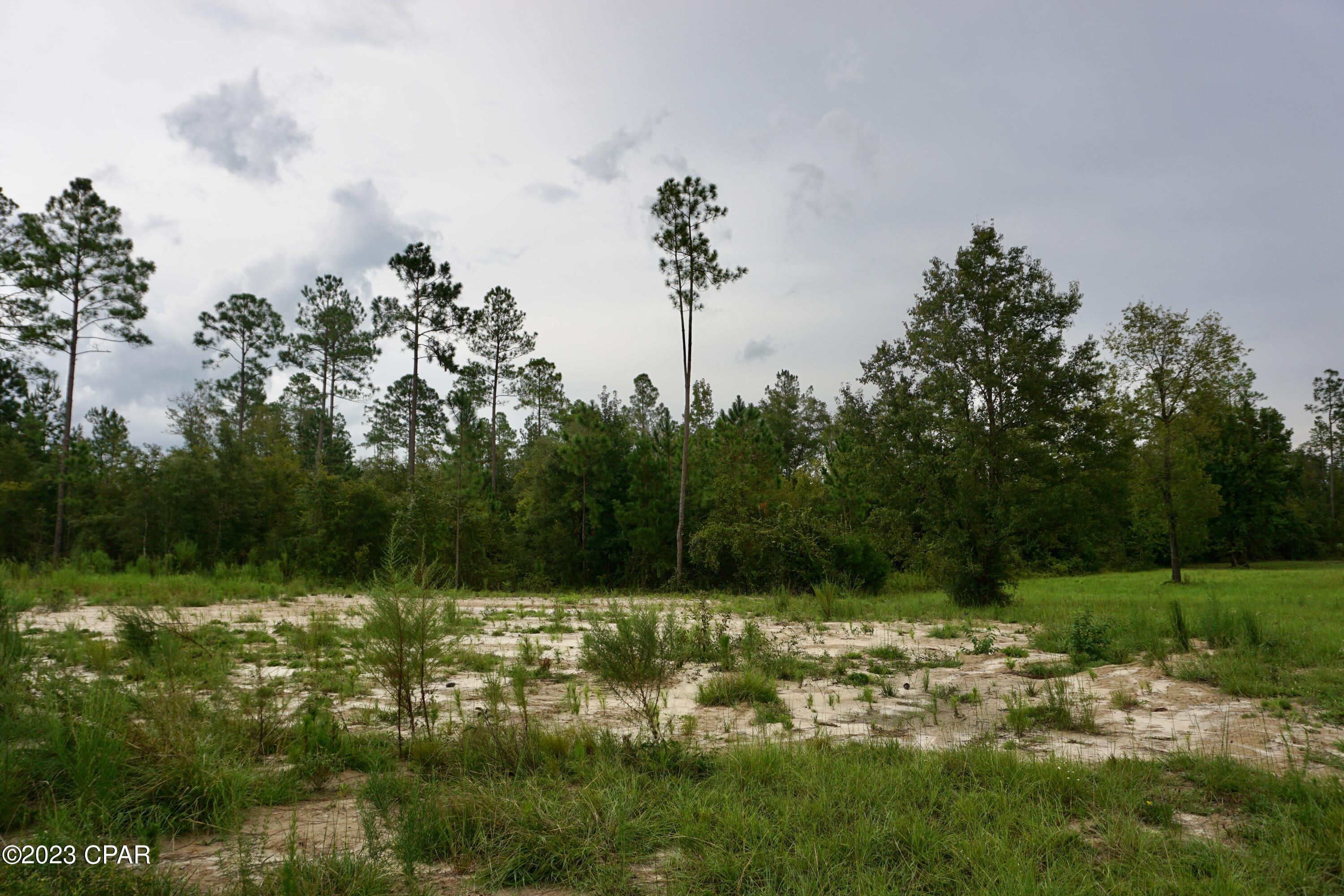 Blue Springs Plantation - Land
