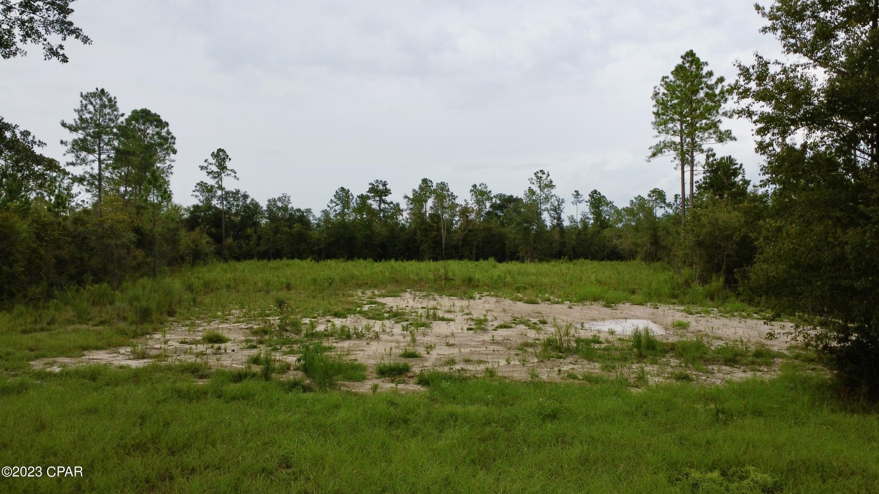 Blue Springs Plantation - Land