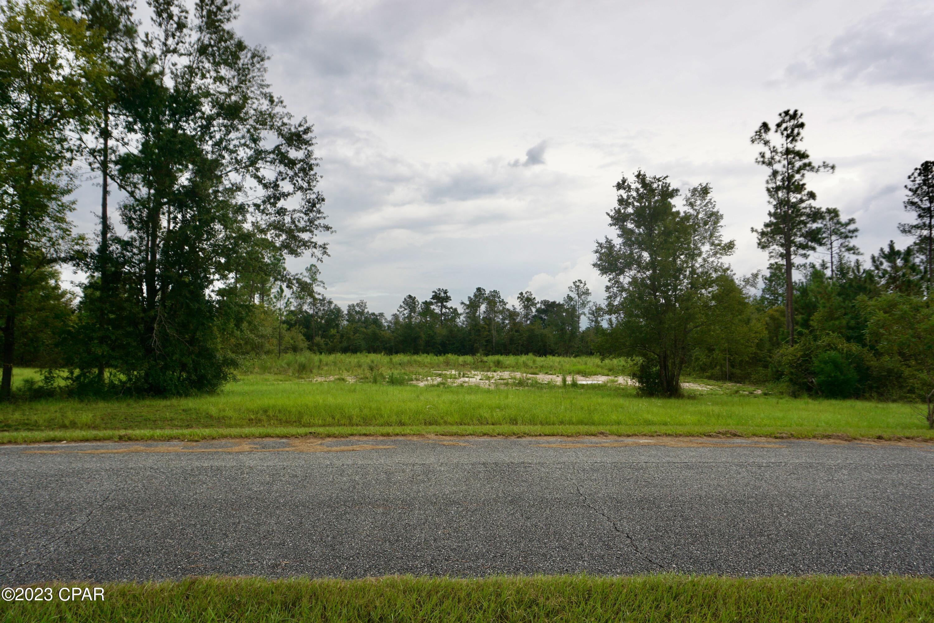 Blue Springs Plantation - Land
