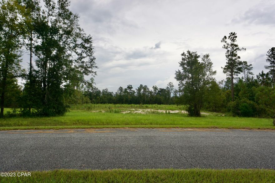 Nestled in the heart of desirable Blue Spring Plantation, this 2.38-acre vacant residential property is a canvas awaiting your dream home masterpiece. Boasting a peaceful and picturesque setting, this generously-sized lot has been meticulously cleared and leveled, presenting you with a blank slate to bring your vision to life. Enjoy the convenience of nearby amenities, including shopping centers, schools, parks, and recreational facilities. This property is located a short distance from beautiful Blue Springs, Merritts Mill Pond, and Lake Seminole. This community offers paved roads and underground utilities. The lot has been professionally cleared and leveled, saving you time and effort in the construction process. Lot 47.