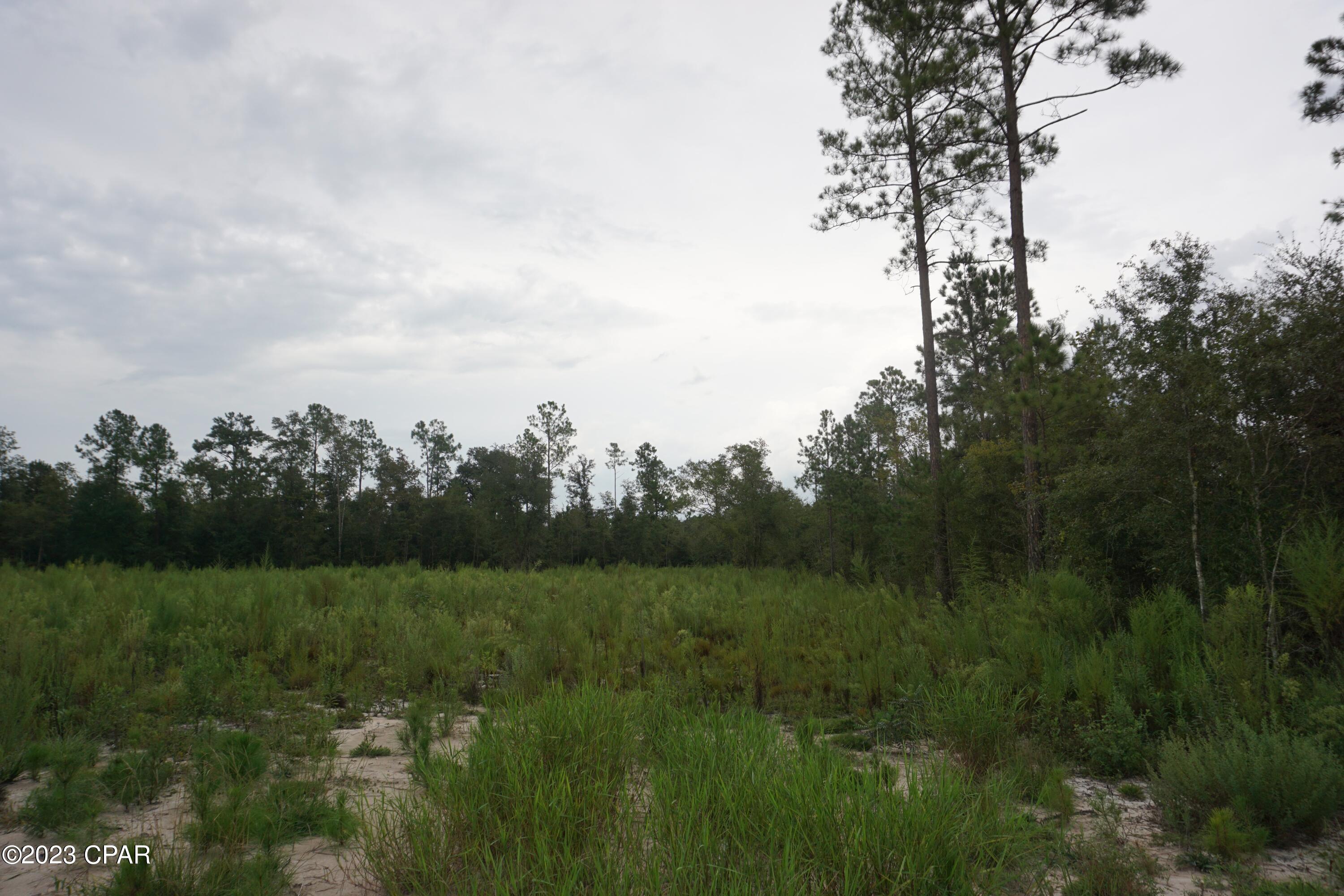 Blue Springs Plantation - Land