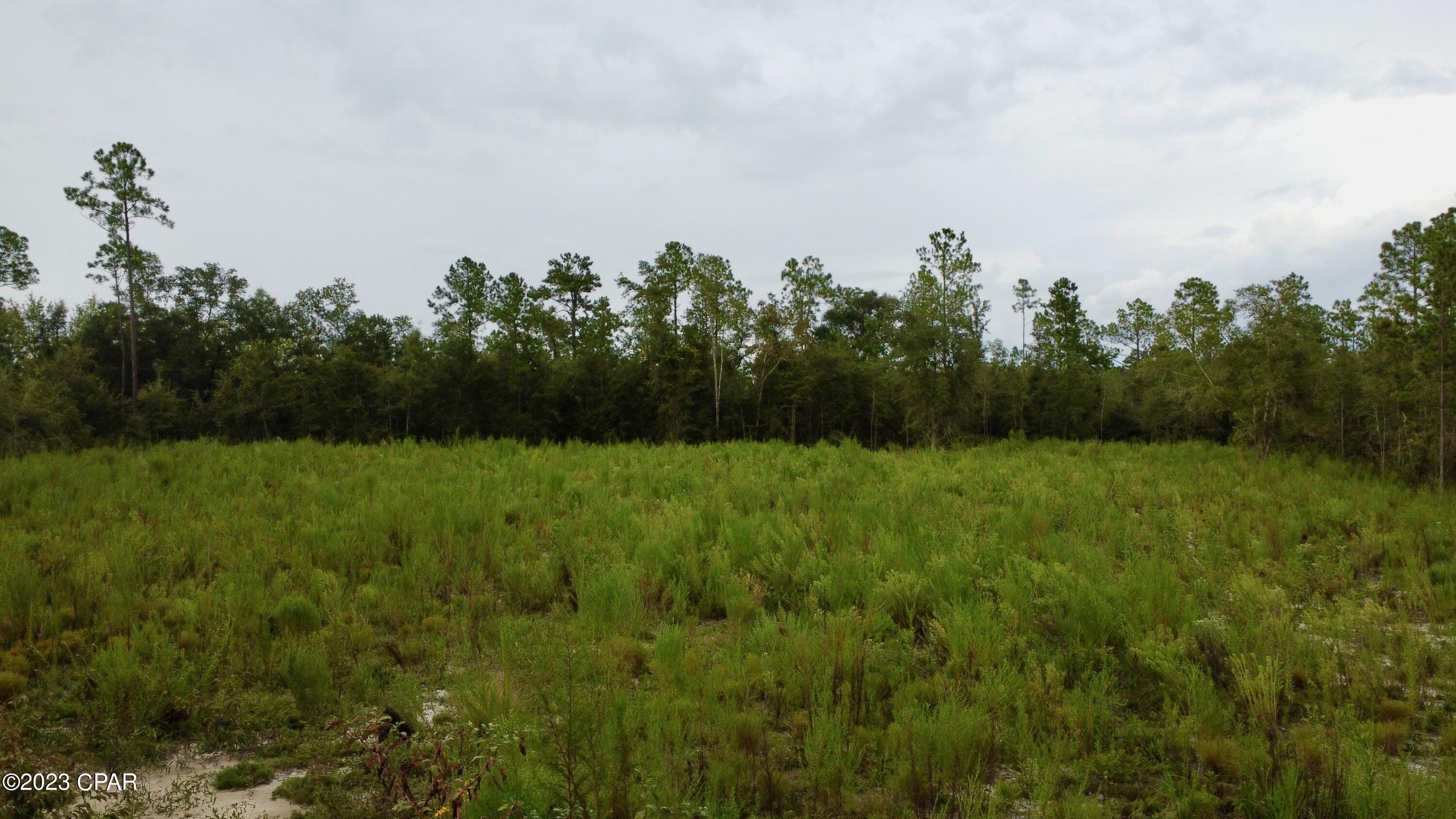 Blue Springs Plantation - Land