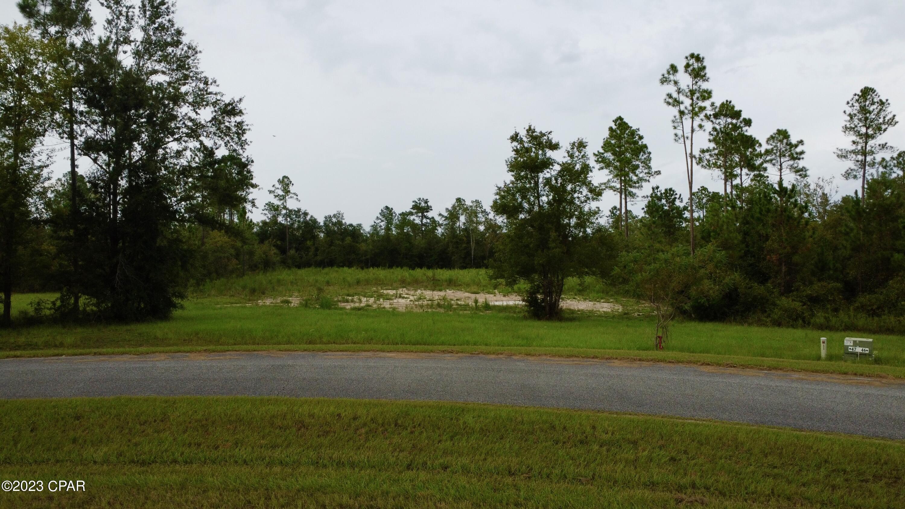 Blue Springs Plantation - Land