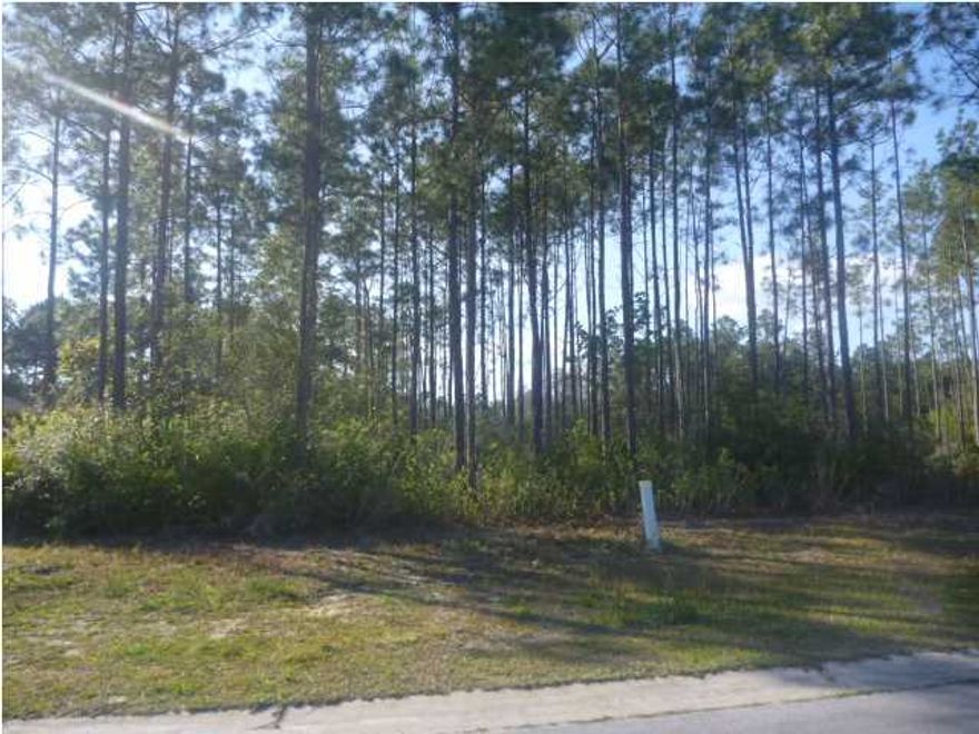 BUILD YOUR DREAM HOME IN CAMRYN'S CROSSING!! Total of 5 lots available on a street that ends with a cul-de-sac! Perfect for raising a family! Find your own builder, or the owner can also build you a beautiful home. Family friendly neighborhood, close to schools, shopping and restaurants. All measurements are estimates. Please measure if concerned. For planning purposes, the setbacks are: Front 20', Rear 20', Sides 6'.