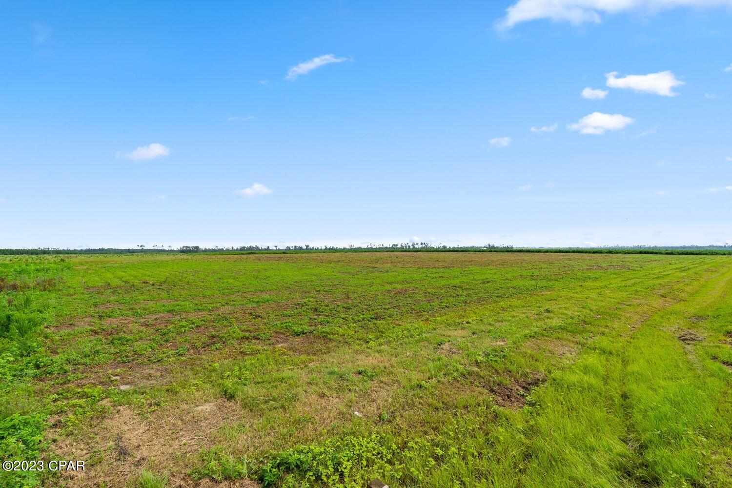 Chipola River Estates - Land