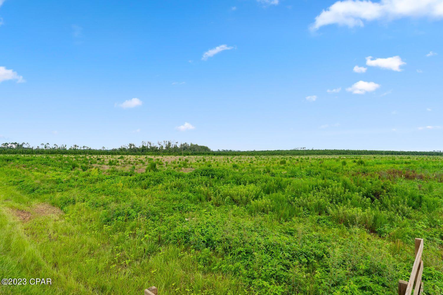 Chipola River Estates - Land