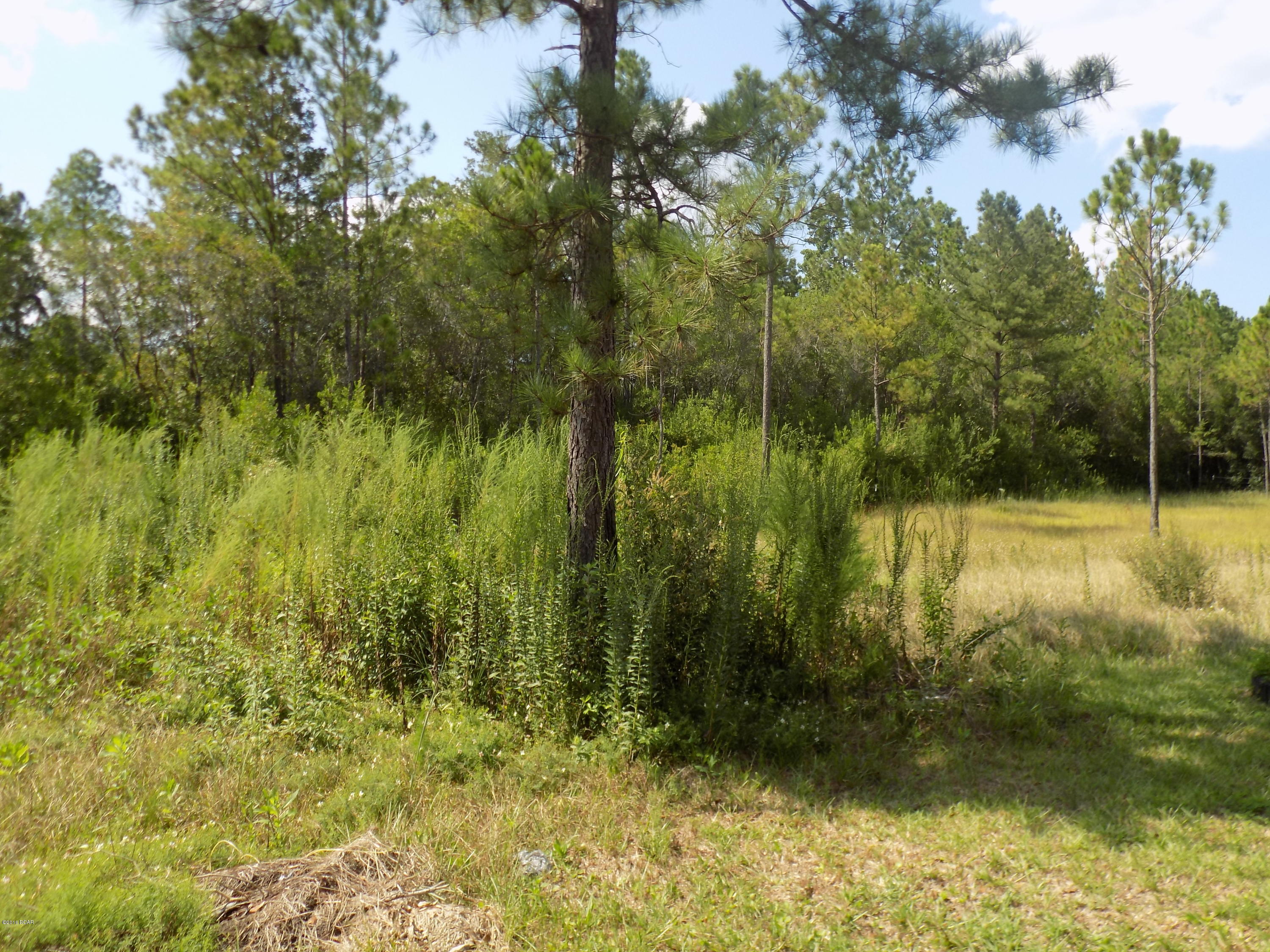 Fla Hwy Ests N Park Sec - Residential