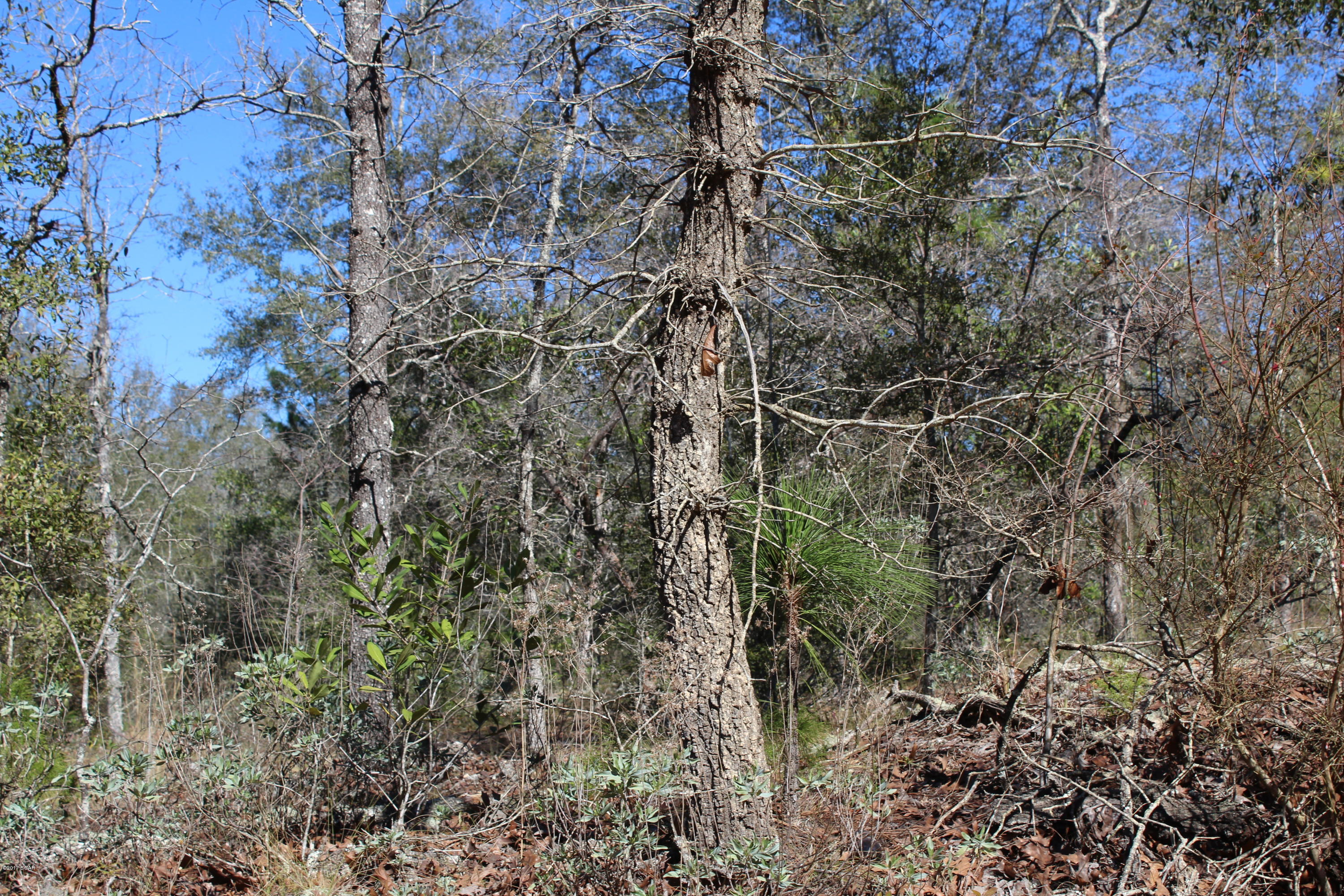 No Named Subdivision - Land