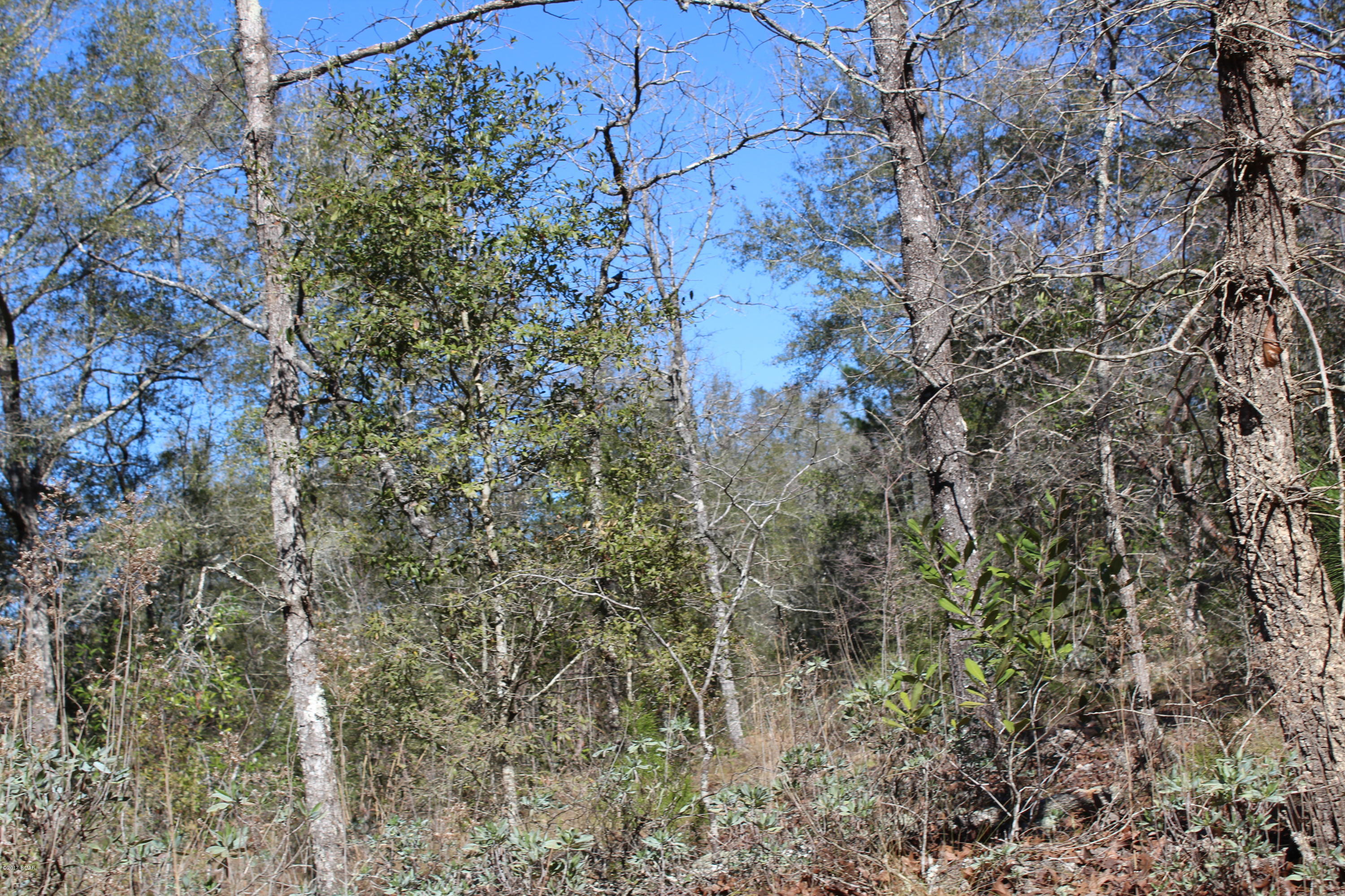 No Named Subdivision - Land