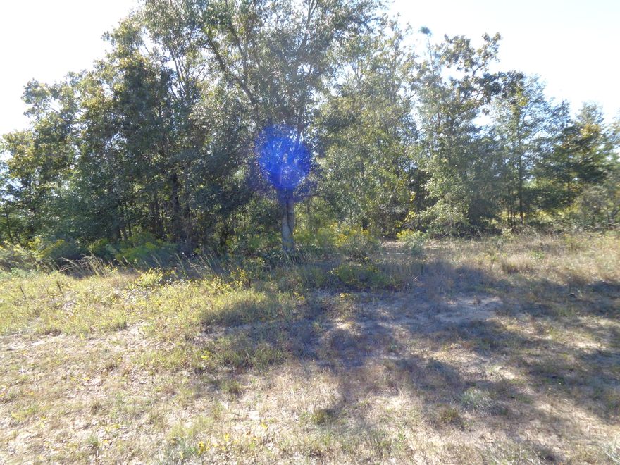 GREAT BUILDING LOT LOCATED ON PAVED ROAD. AMMENITIES OF COMPASS LAKE IN THE HILLS AVAILABLE TO OWNER. AT THIS PRICE WOULD MAKE A GREAT INVESTMENT FOR FUTURE USE.