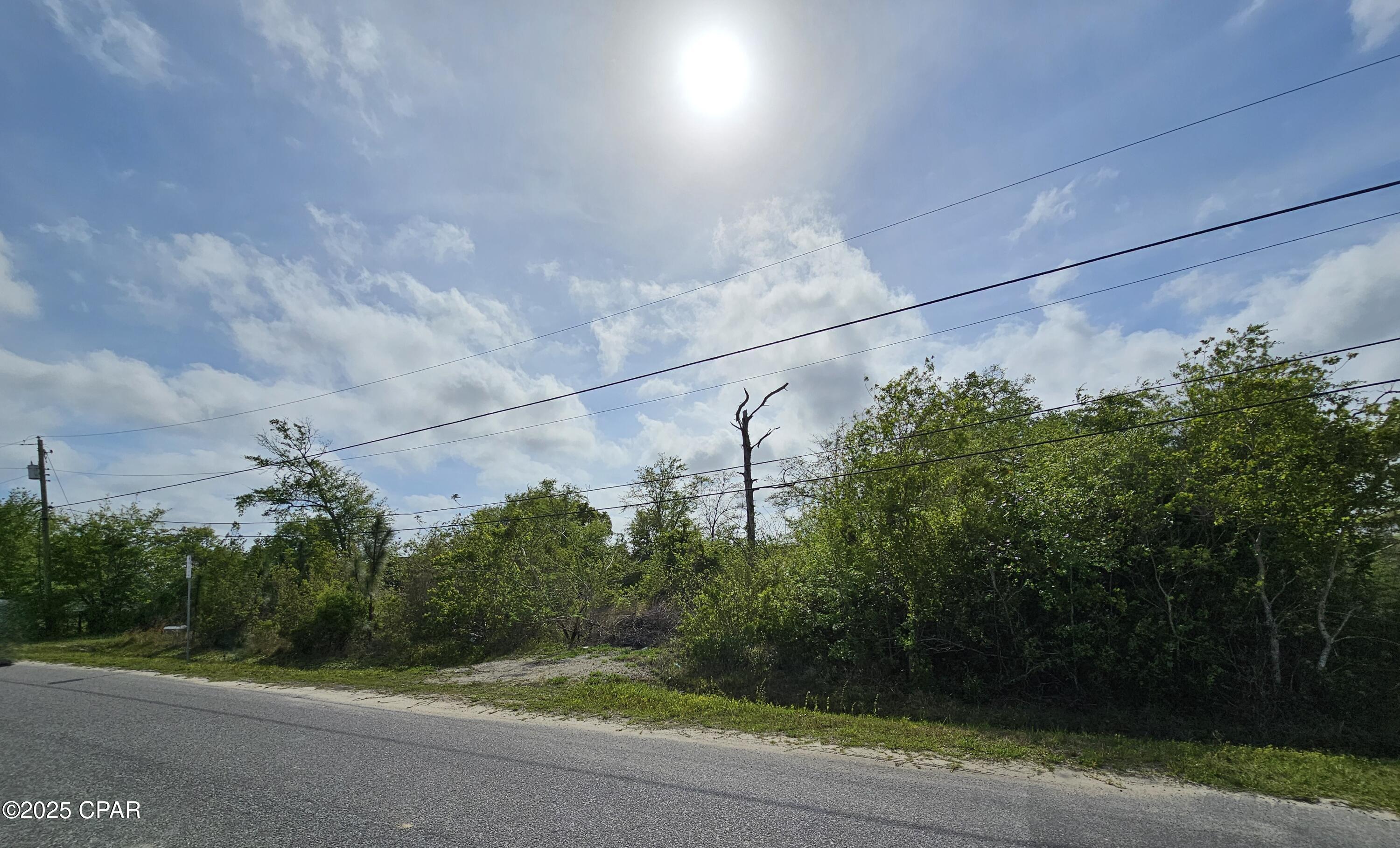 Pine Wood Grove - Land