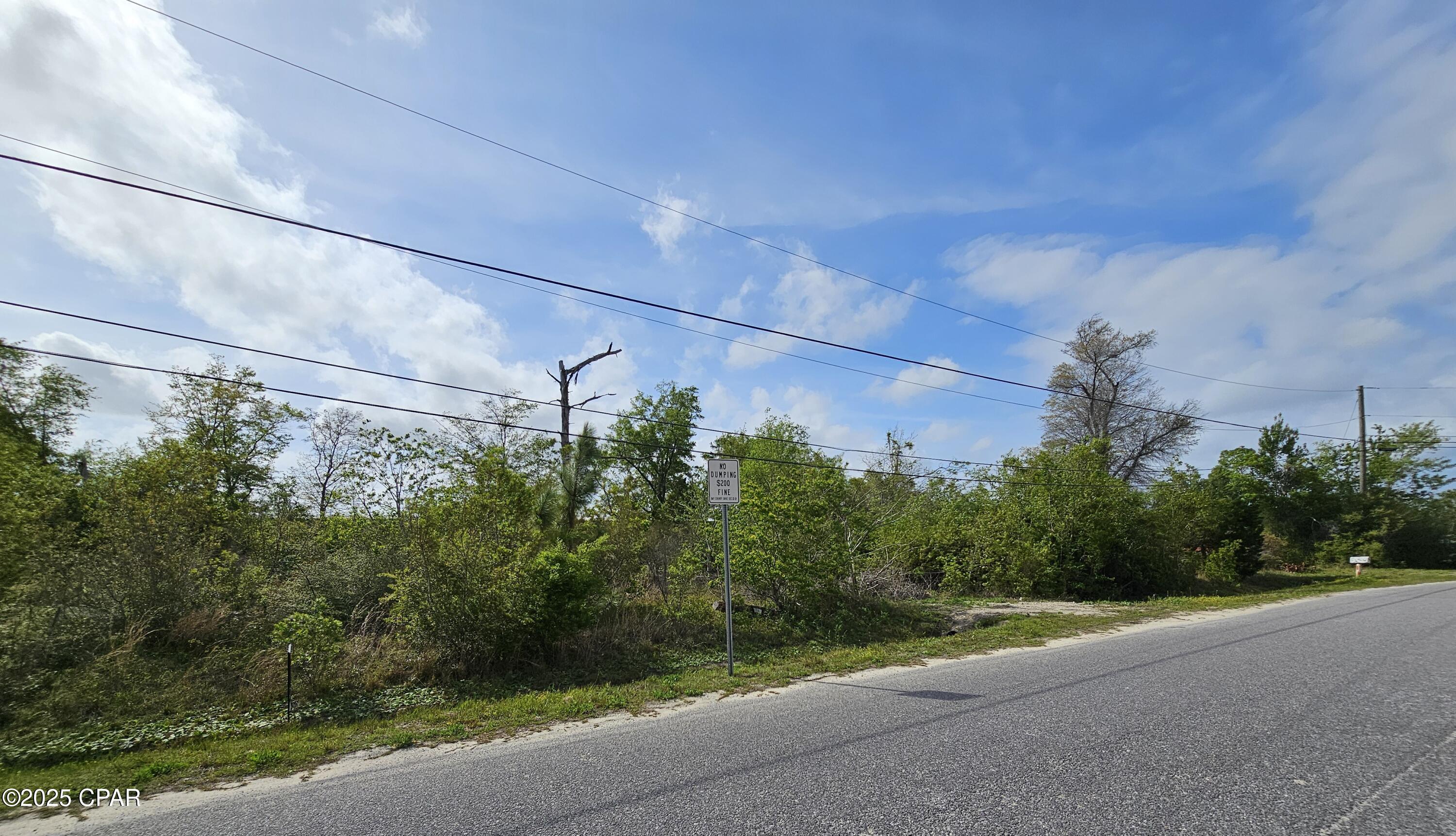 Pine Wood Grove - Land