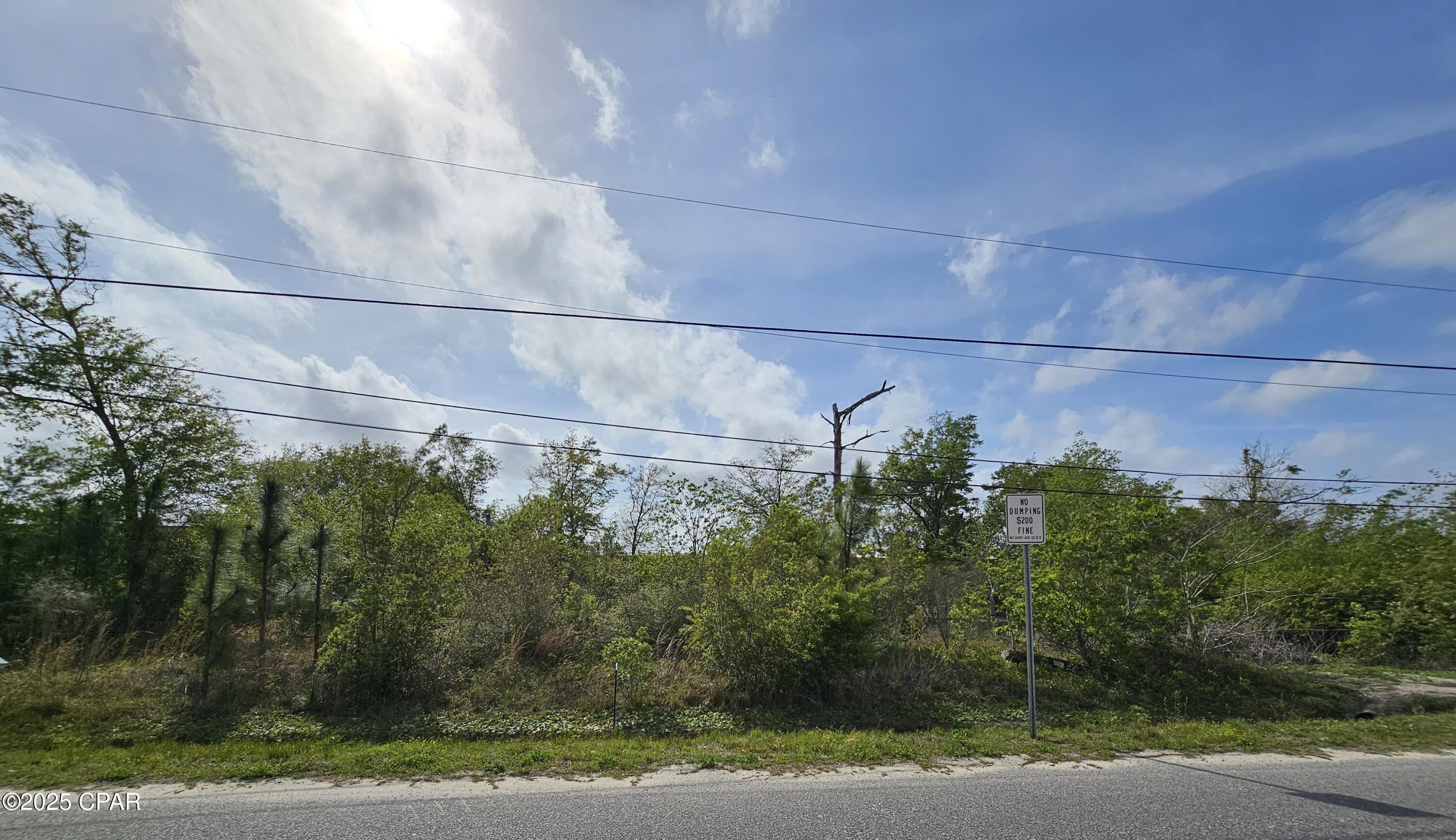 Pine Wood Grove - Land