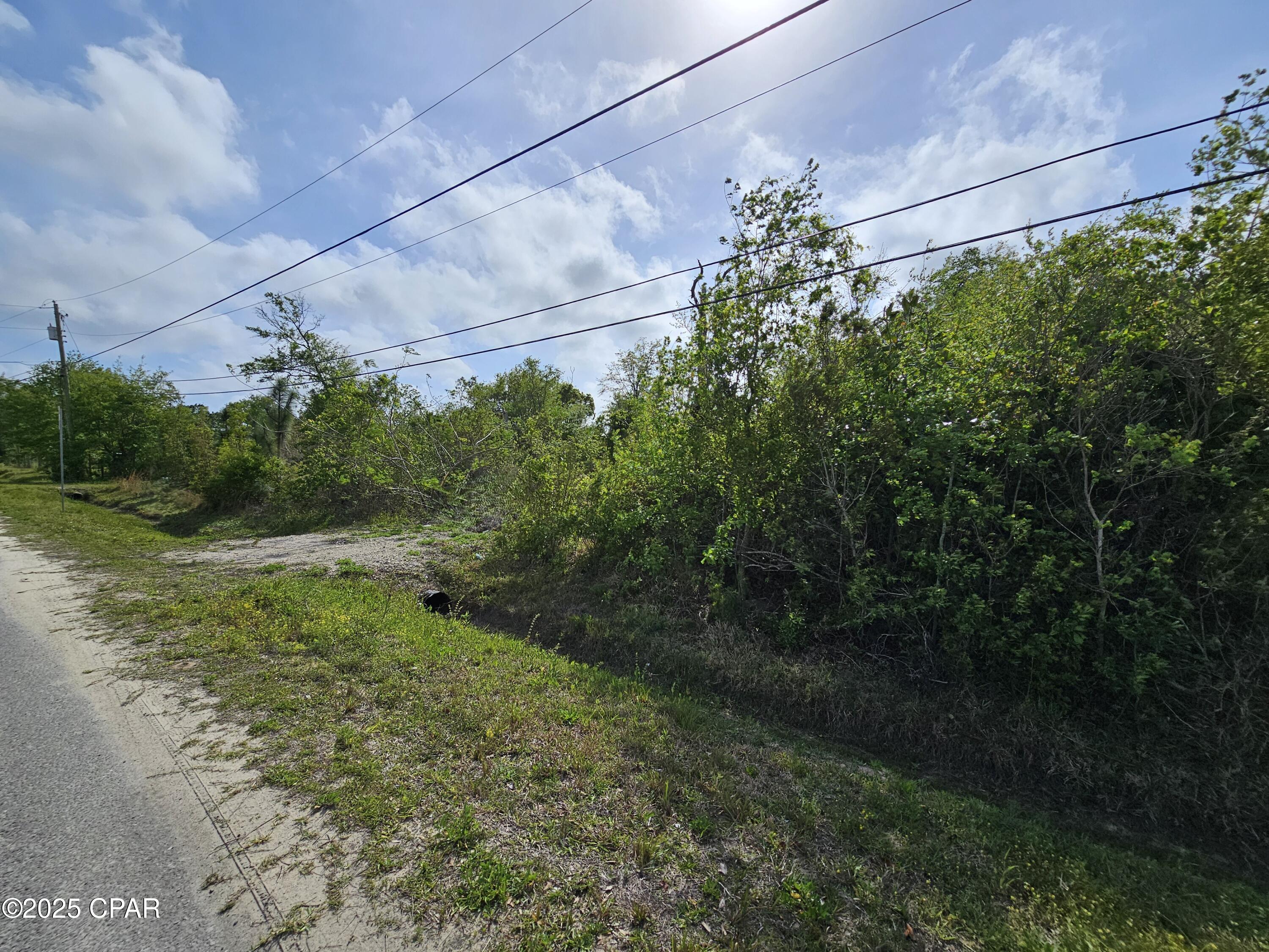 Pine Wood Grove - Land