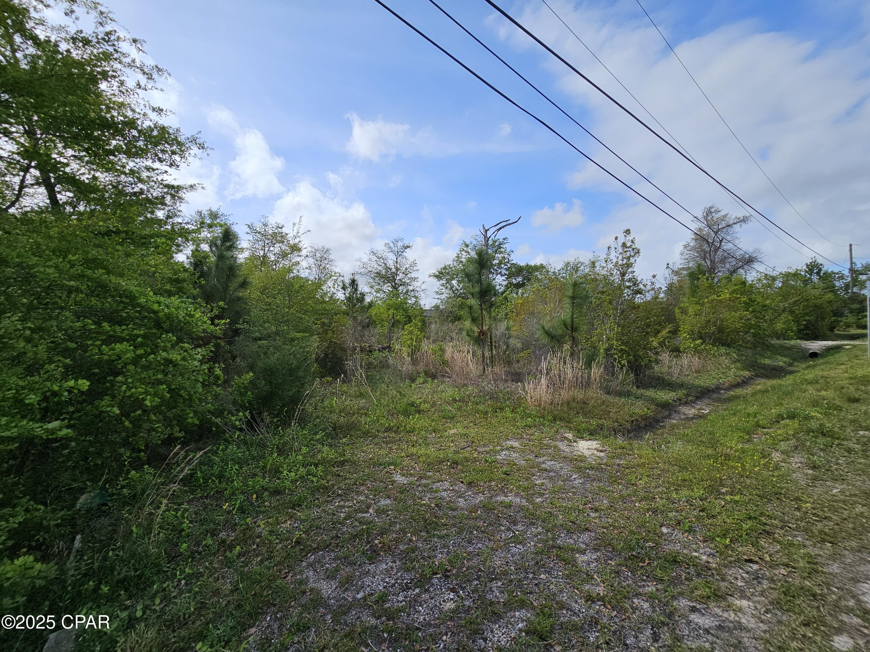 Pine Wood Grove - Land