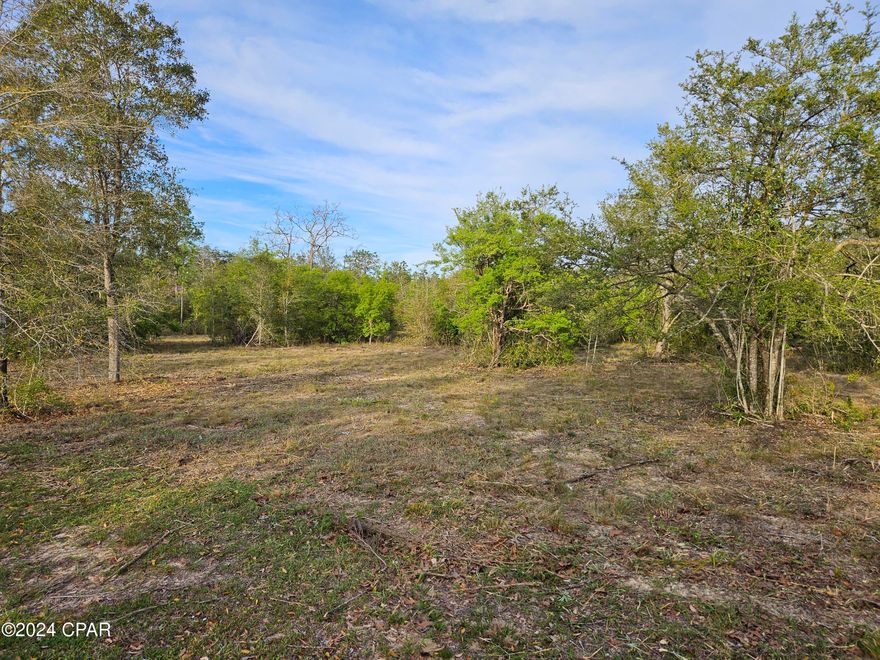 CURRENTLY UNDER CONTRACT, SELLER WILL CONSIDER BACKUP OFFERS Build your new home in the security gated subdivision of Leisure Lakes on a 3.31 flat that offers a water view of a large, clear lake. This is the best interior building lot in the lake subdivision. It has 265 feet of road frontage, 488 feet down one side, 457 feet on the other side, and 345 feet across the back. The rear of the lot backs up to a 10-foot tall field fence that circles a large parcel of woods. This is another reason why building lots on the east side of the lake rarely become available. There is plenty of land for an outdoor building or pole barn. Located on the east side of the lake, enjoy the sunsets from your lot or go down to the covered pavilion where other recreation opportunities await. There is a swimming pool adjacent to the pavilion, a concrete boat launch, a basketball court, tennis court, grill stations, a toddler playground covered in shade, and a floating platform just off the shore. It is about 30 minutes to Panama City, or about 45 minutes to Panama City Beach that is also known as the World's Most Beautiful Beaches. A security guard is on duty from about 7:30 a.m. to about 3 p.m. weekdays. When the guard is not present, property owners have a private code to enter.