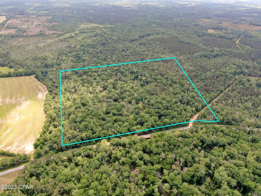 Rare Creek Front Opportunity! 38+/- Acres with gorgeous Wrights Creek flowing through it! This Northern Holmes County property features an abundance of scattered hardwoods, and is teeming with all types of  wildlife from deer to turkey! These types of properties DO NOT come around often. Schedule your showing today!