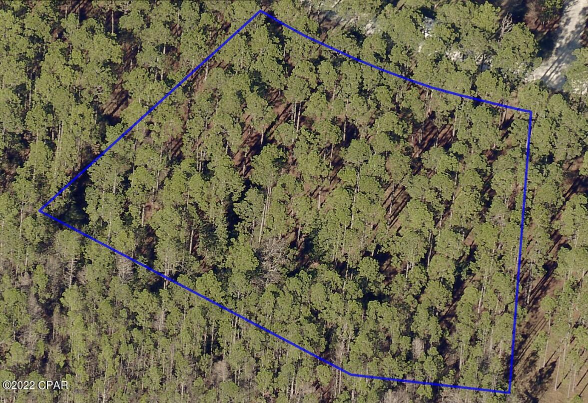 Rivercamps On Crooked Creek - Land